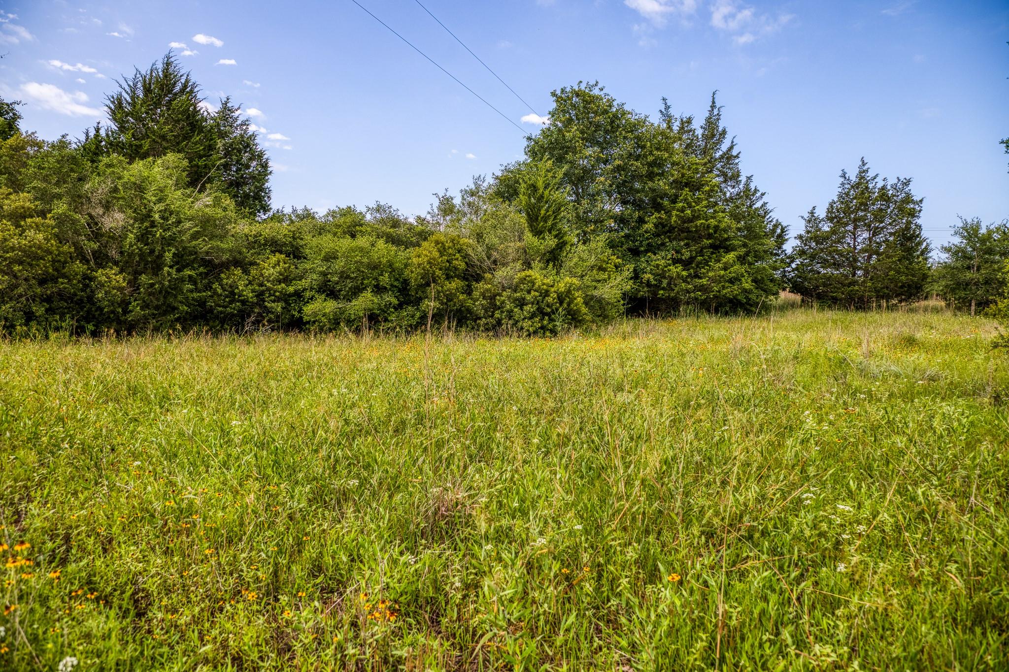 9808 FM 908, Caldwell, TX 77836