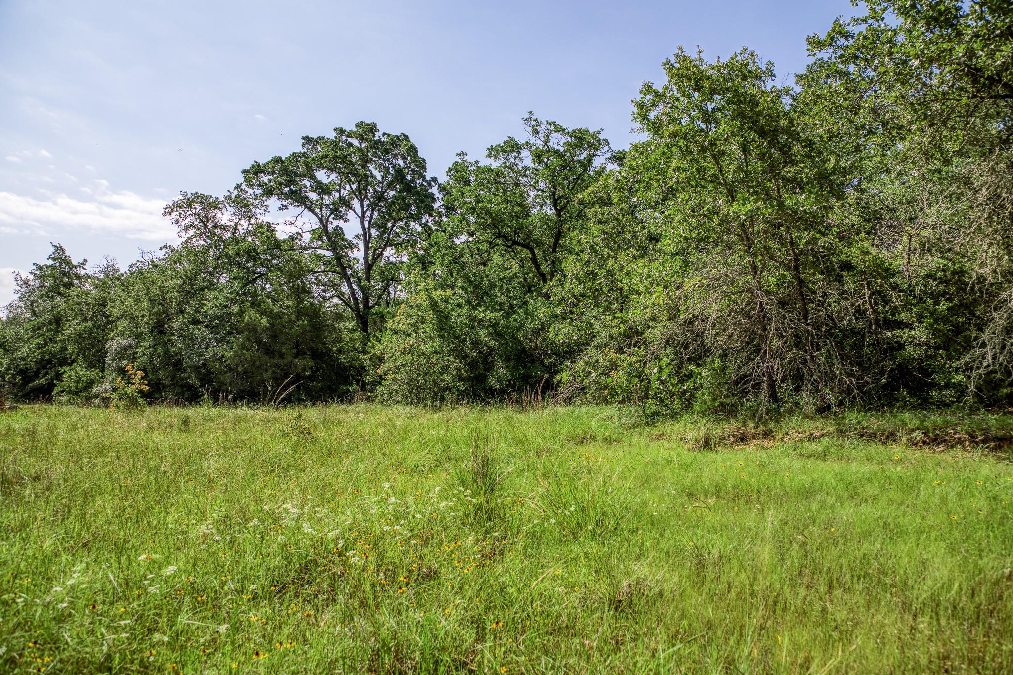 9808 FM 908, Caldwell, TX 77836