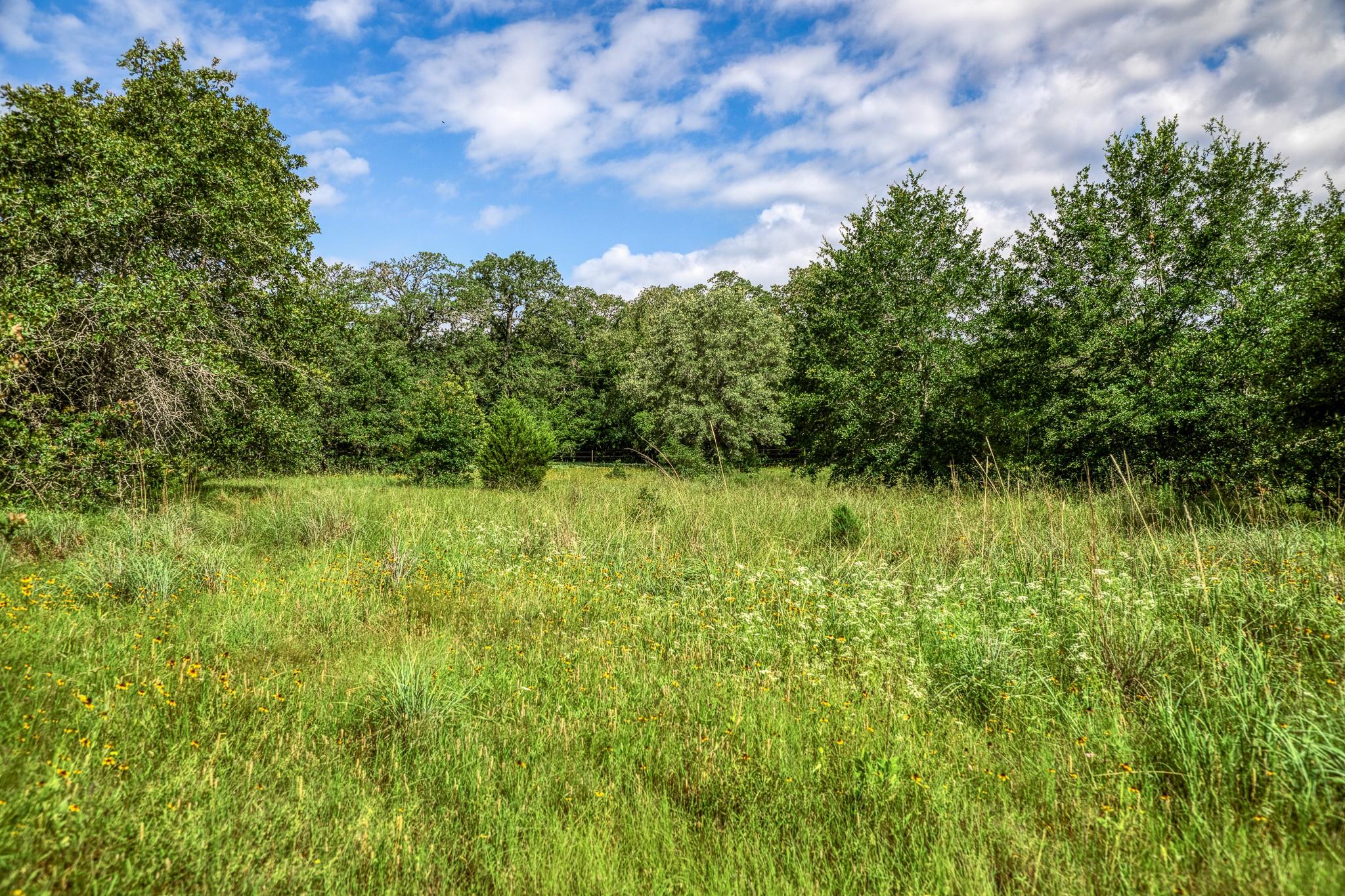 9808 FM 908, Caldwell, TX 77836