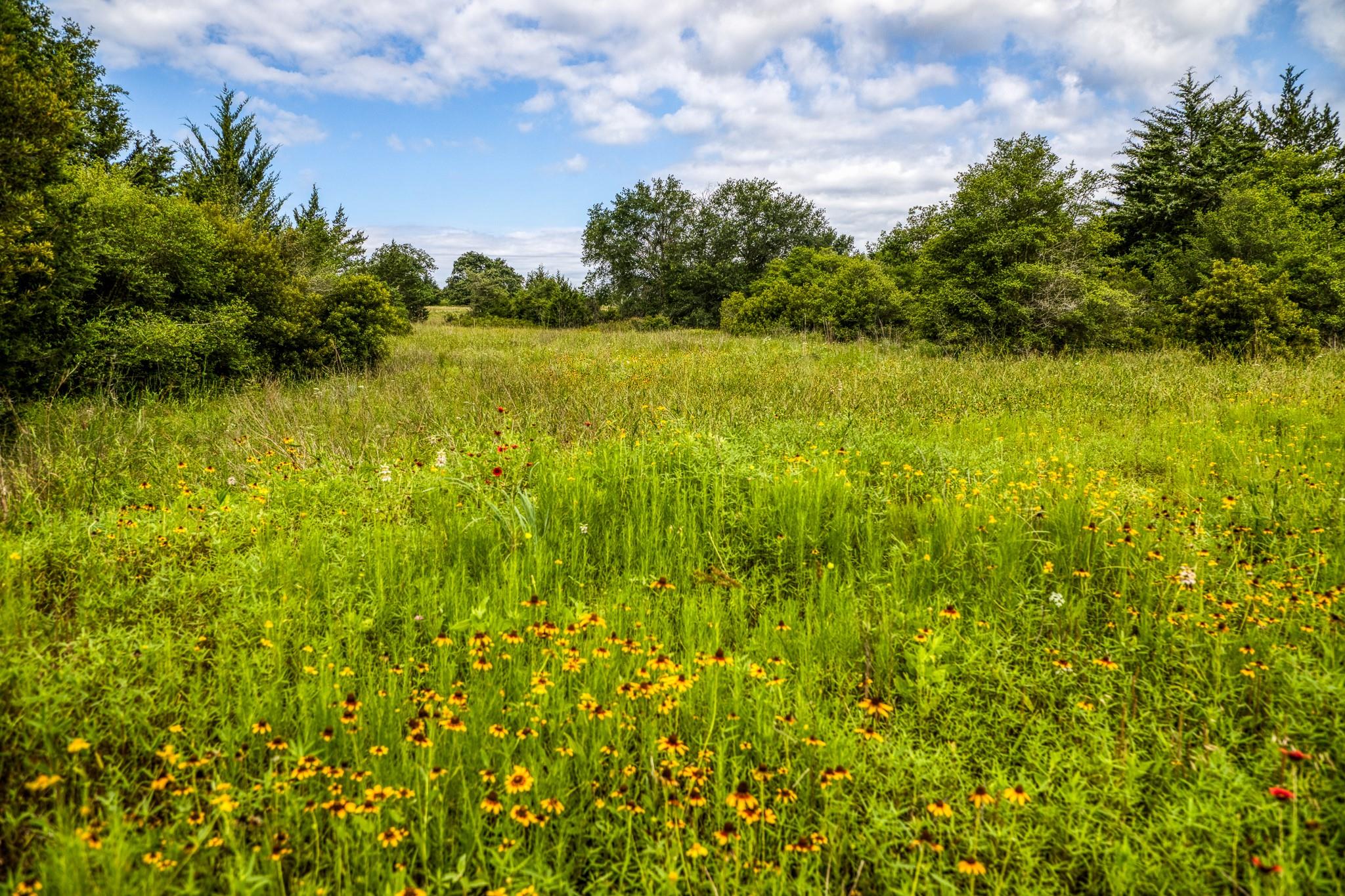 9808 FM 908, Caldwell, TX 77836