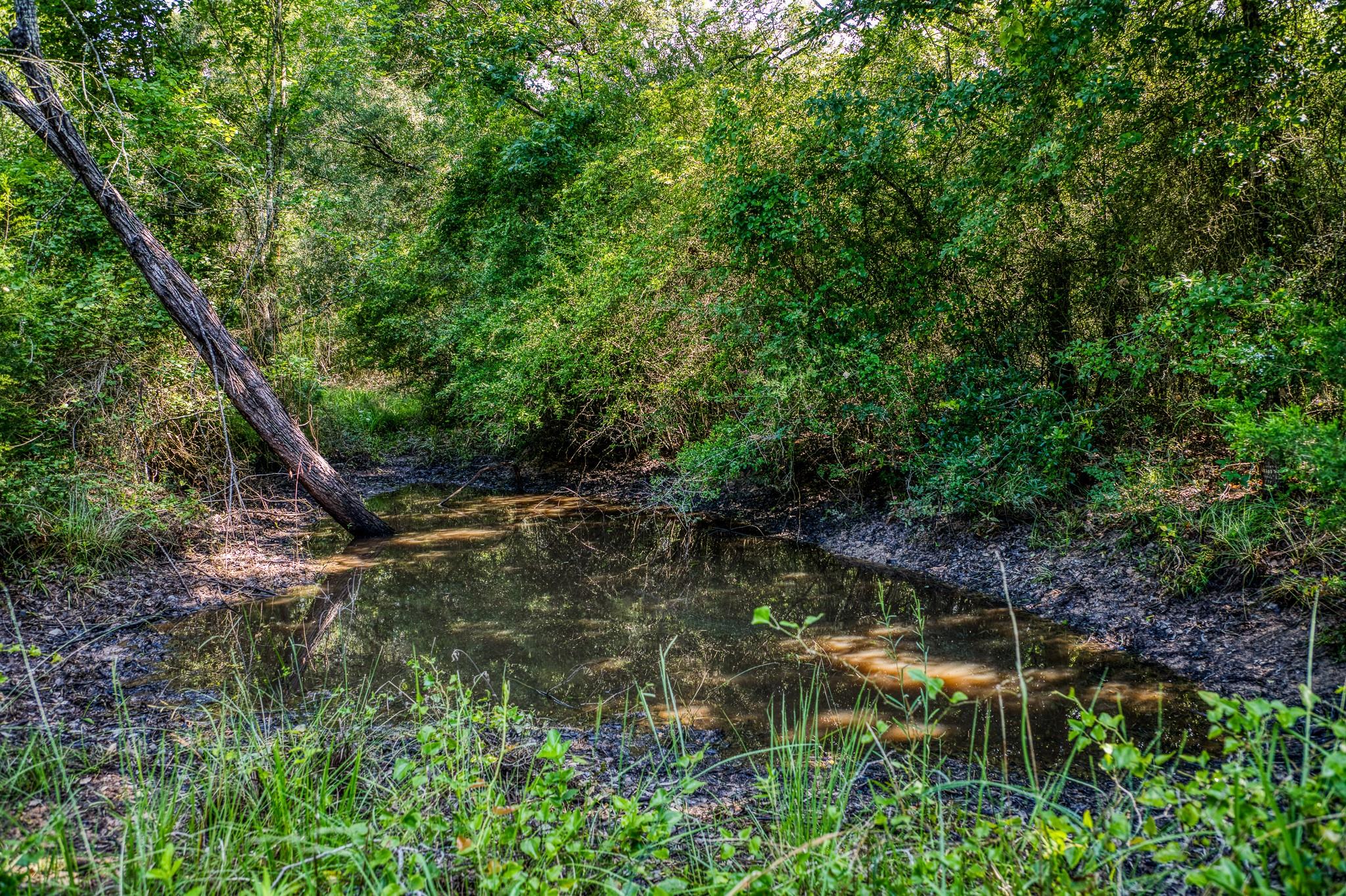 9808 FM 908, Caldwell, TX 77836