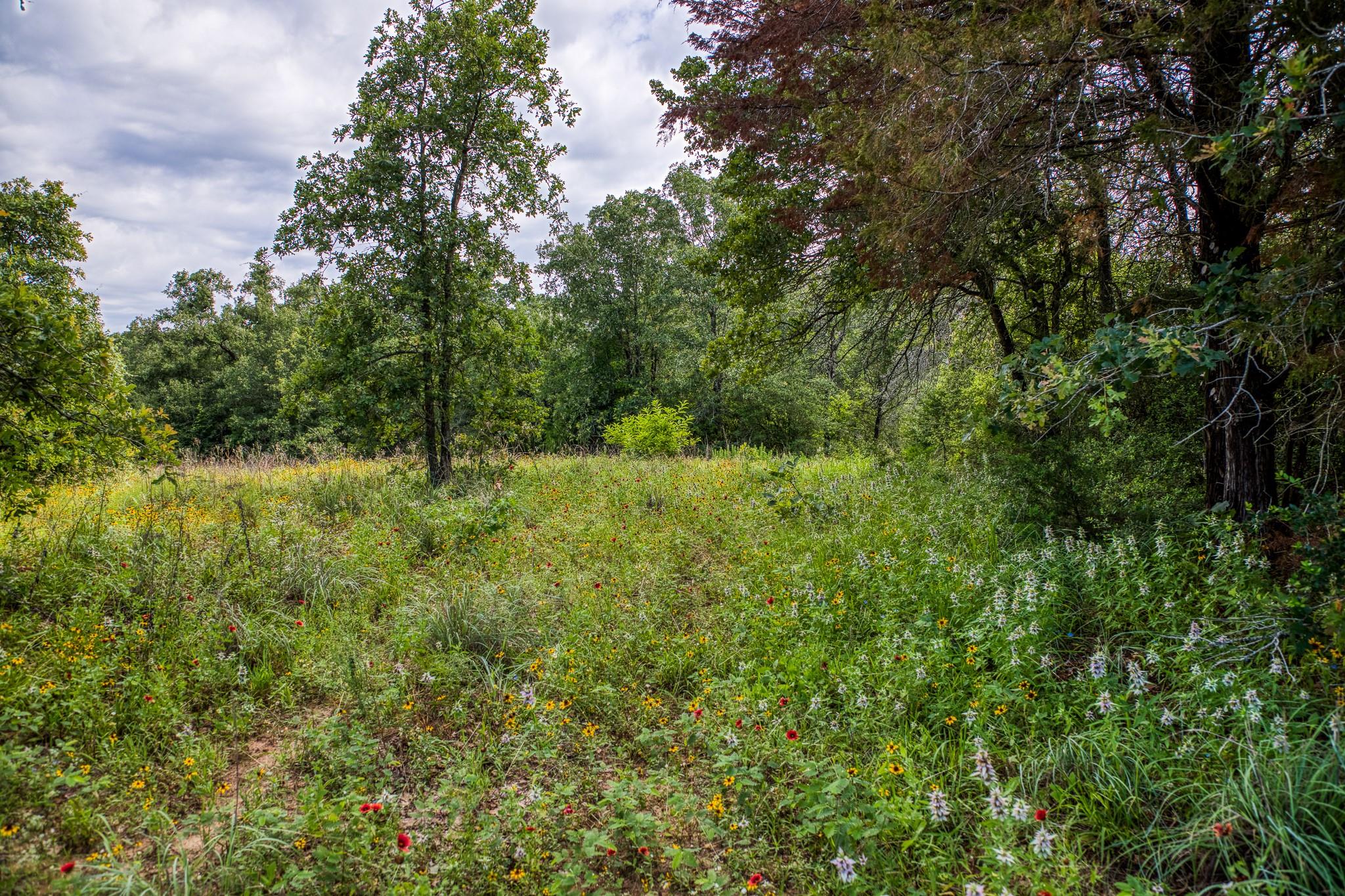 9808 FM 908, Caldwell, TX 77836