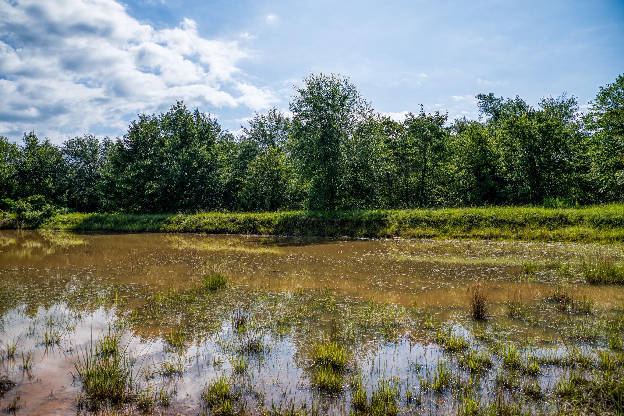 9808 FM 908, Caldwell, TX 77836