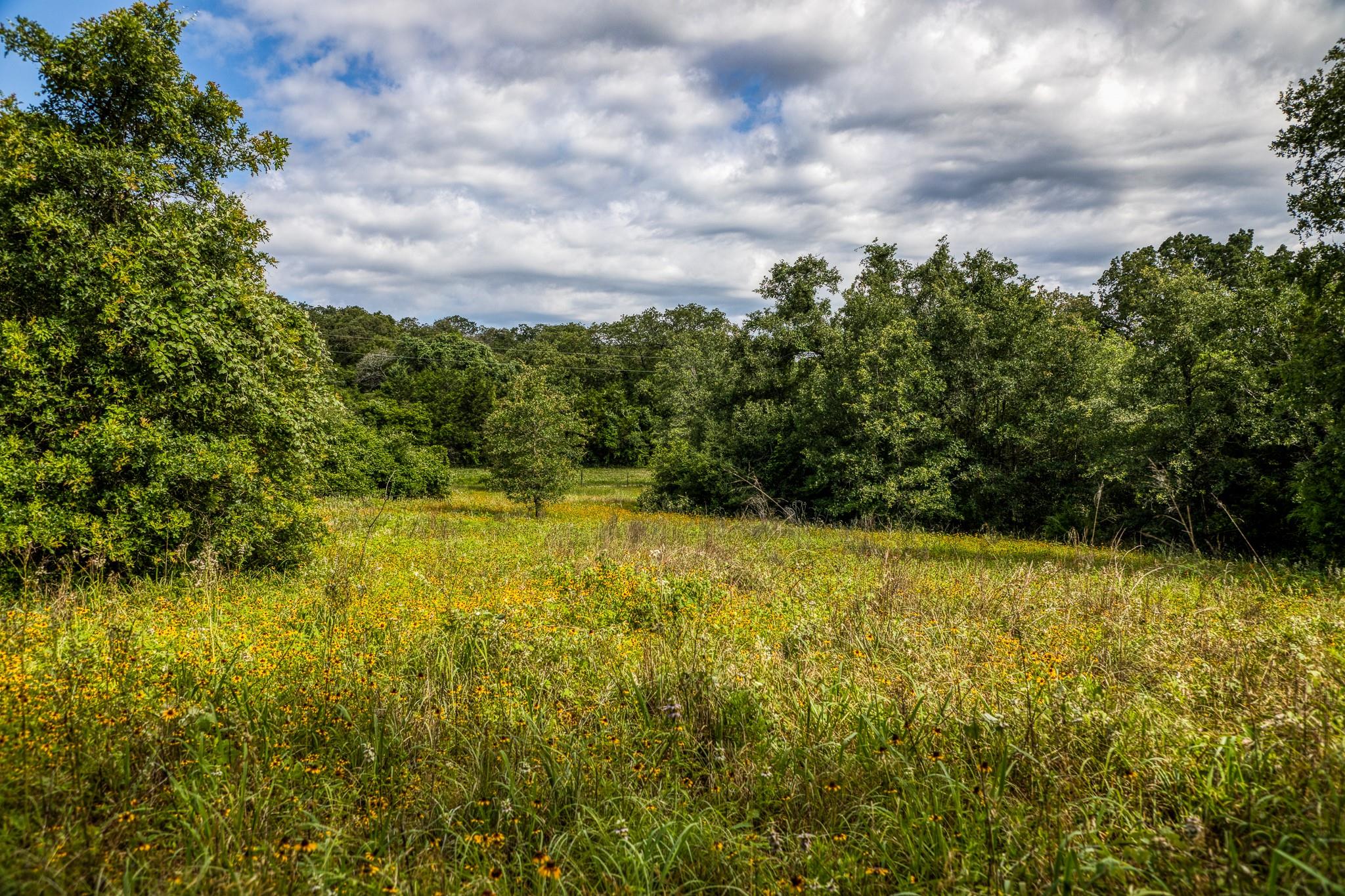 9808 FM 908, Caldwell, TX 77836