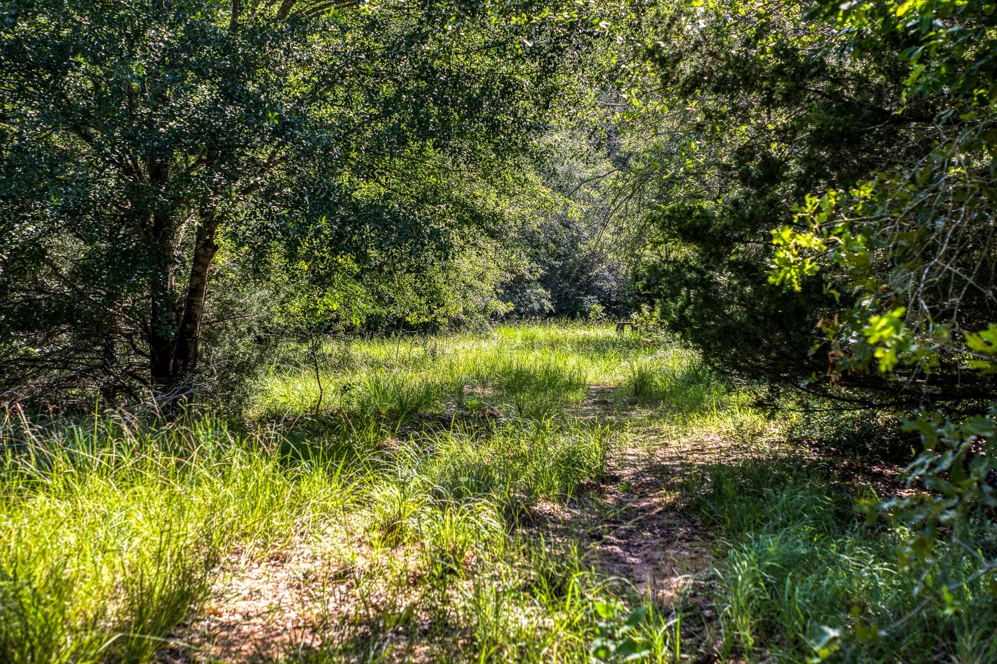 9808 FM 908, Caldwell, TX 77836