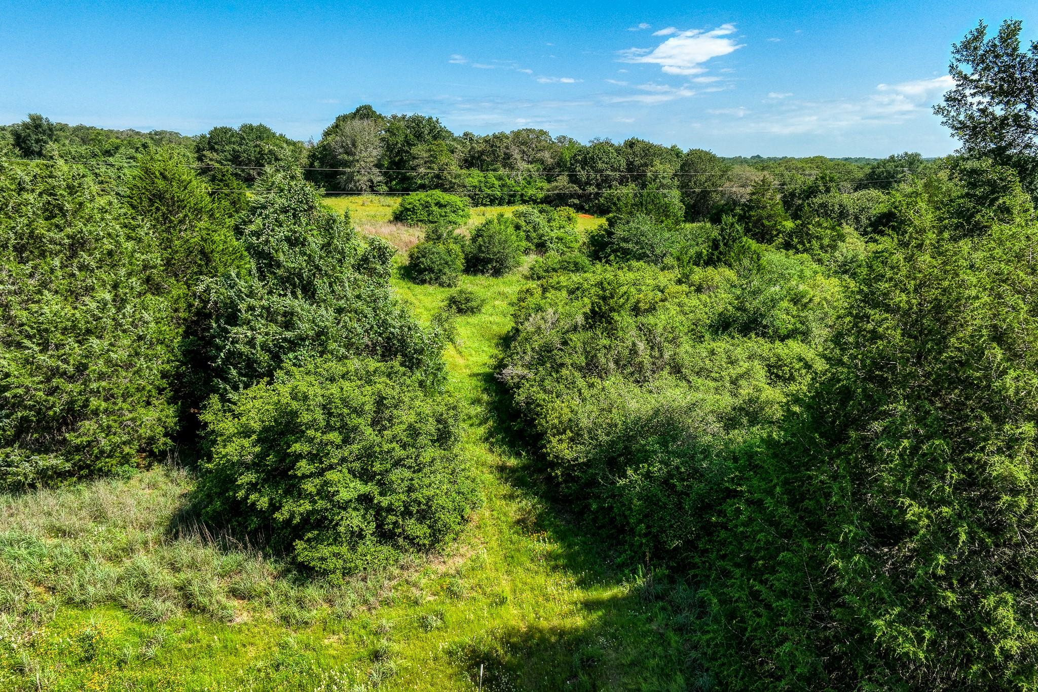 9808 FM 908, Caldwell, TX 77836