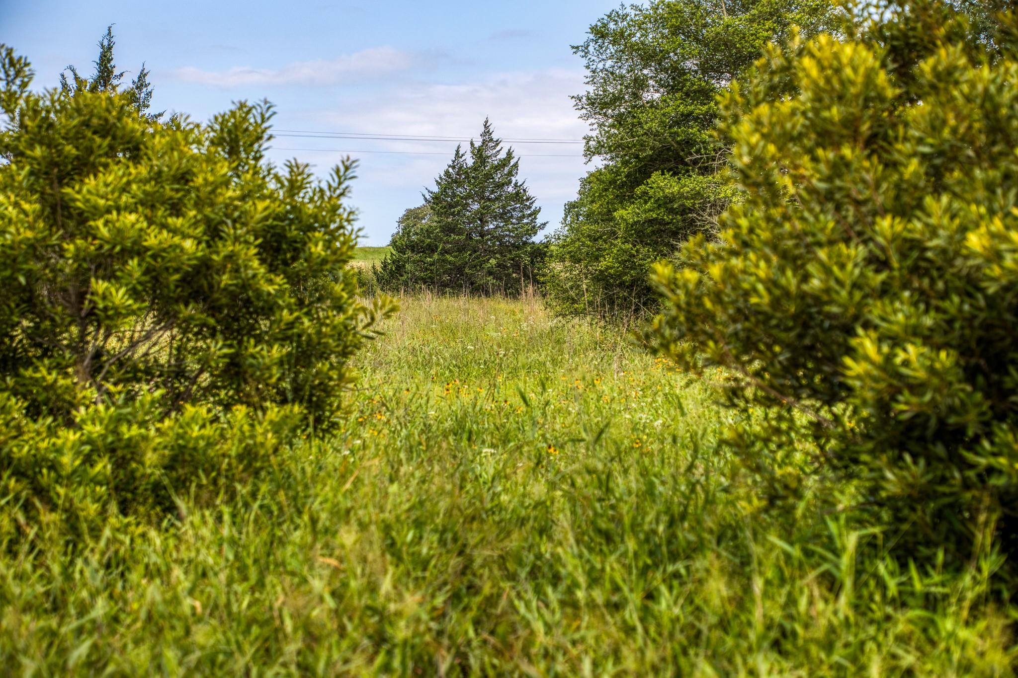 9808 FM 908, Caldwell, TX 77836