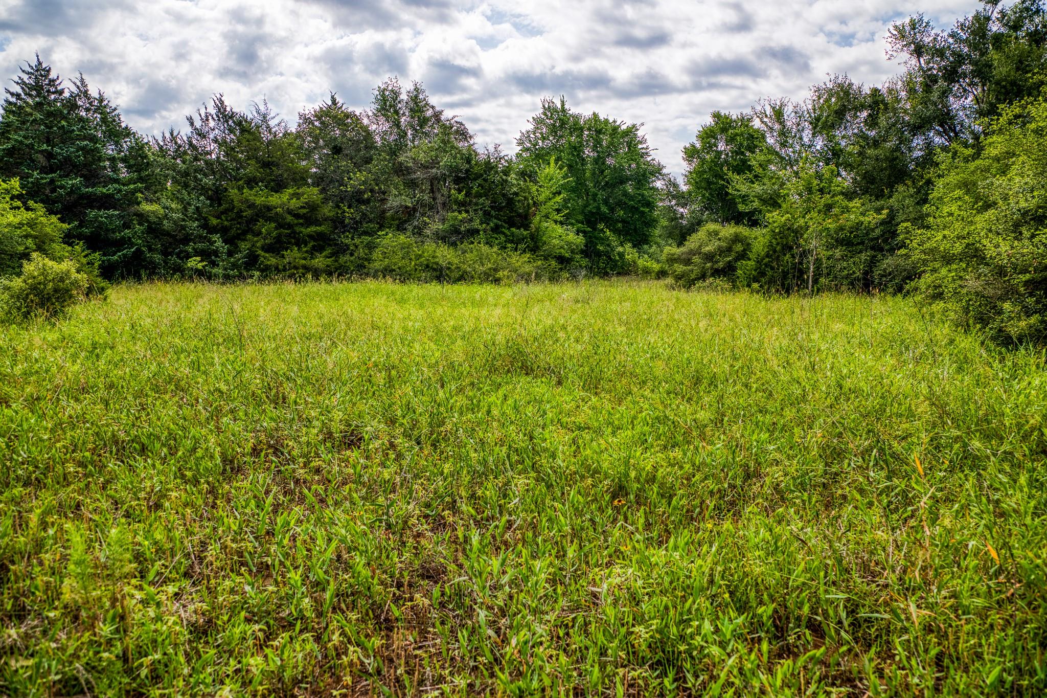 9808 FM 908, Caldwell, TX 77836