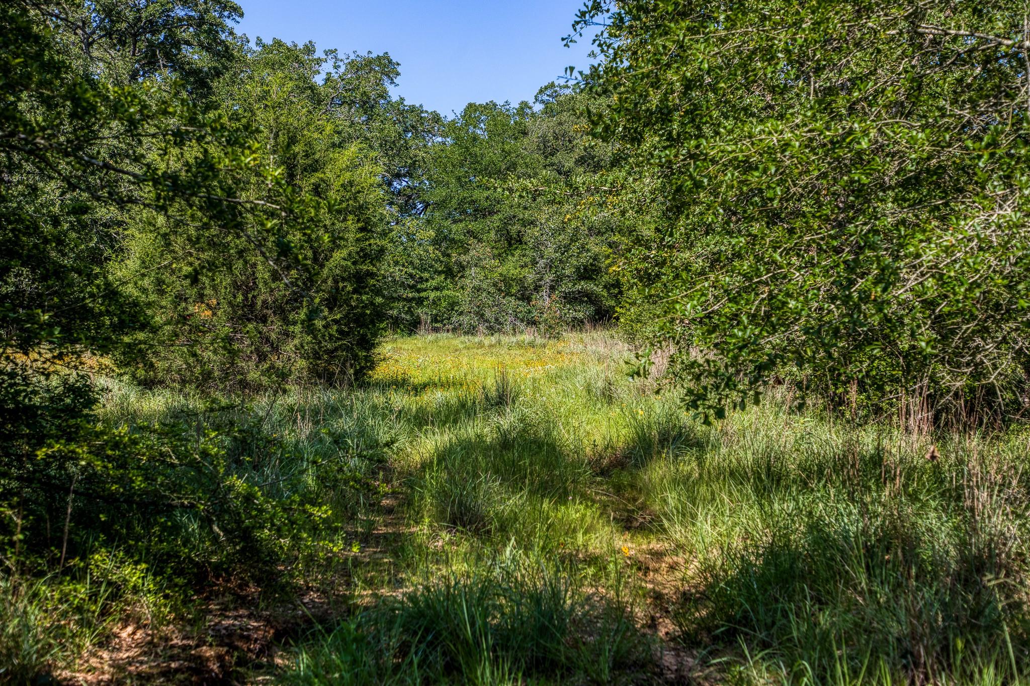 9808 FM 908, Caldwell, TX 77836