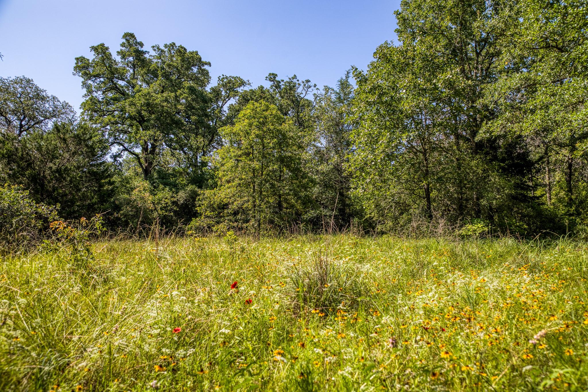 9808 FM 908, Caldwell, TX 77836