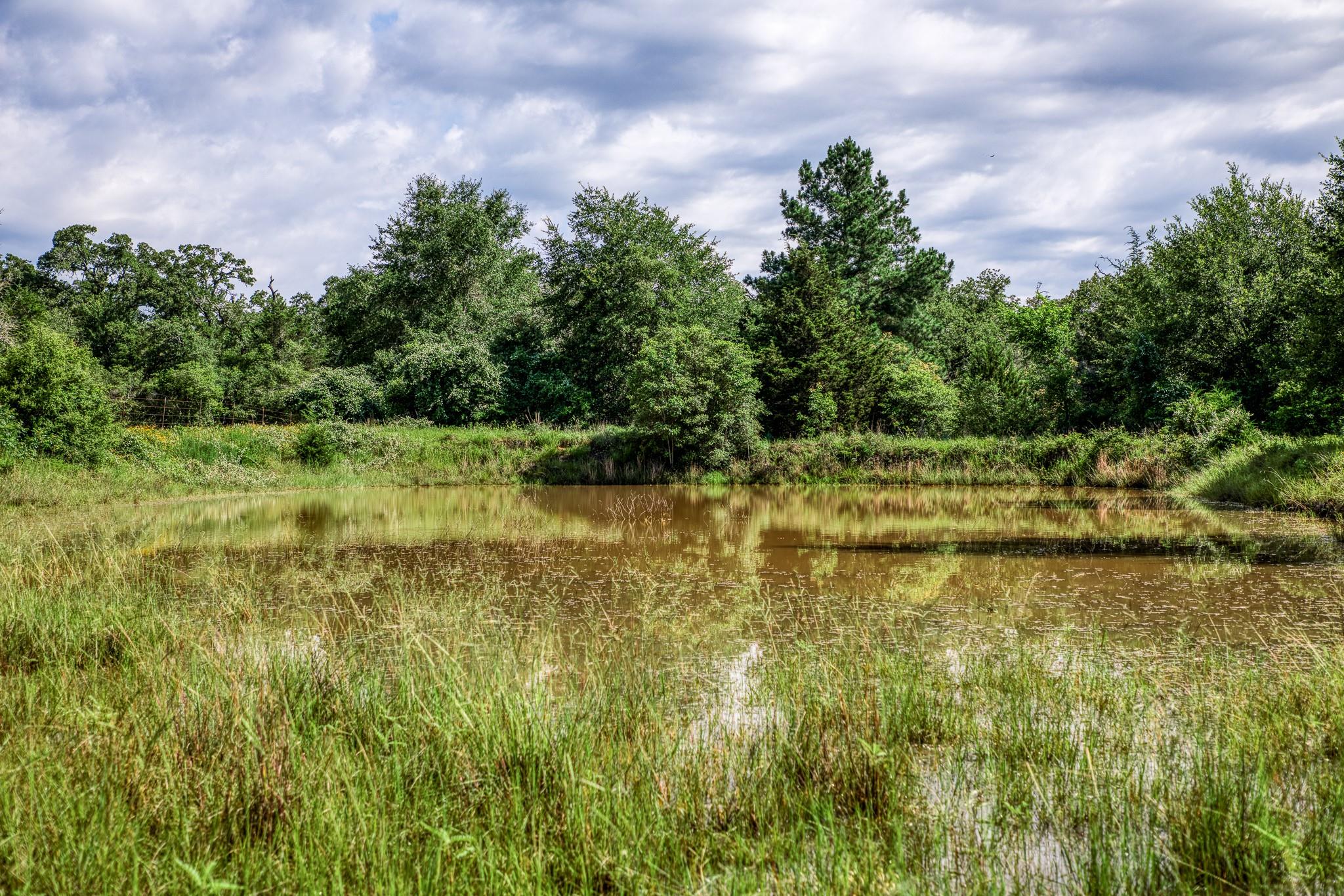 9808 FM 908, Caldwell, TX 77836