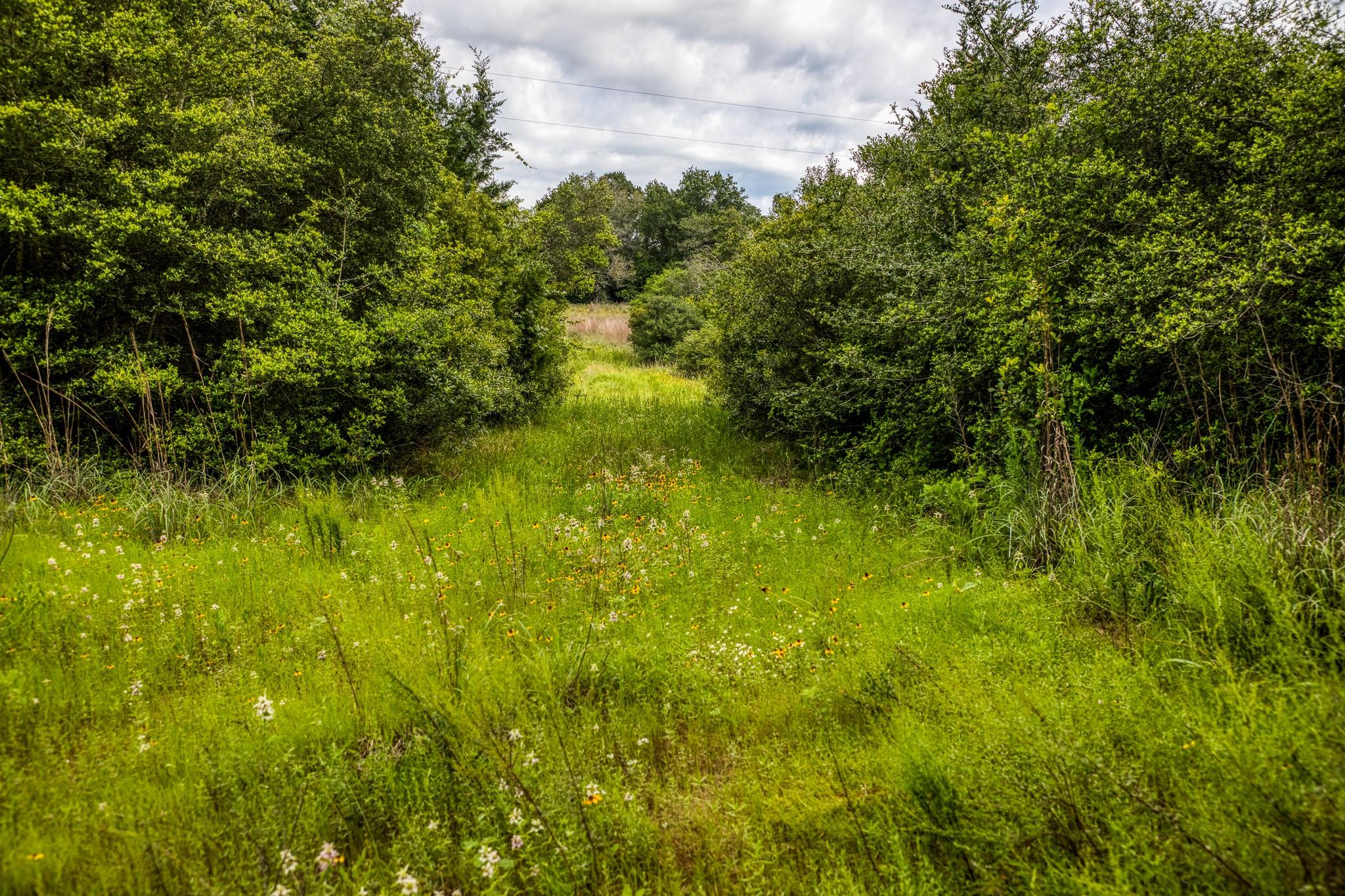 9808 FM 908, Caldwell, TX 77836