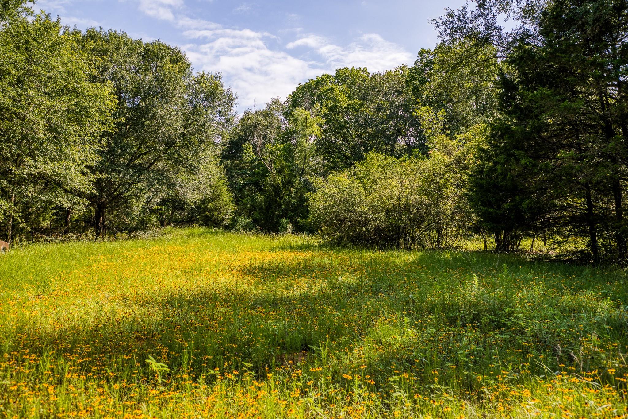 9808 FM 908, Caldwell, TX 77836