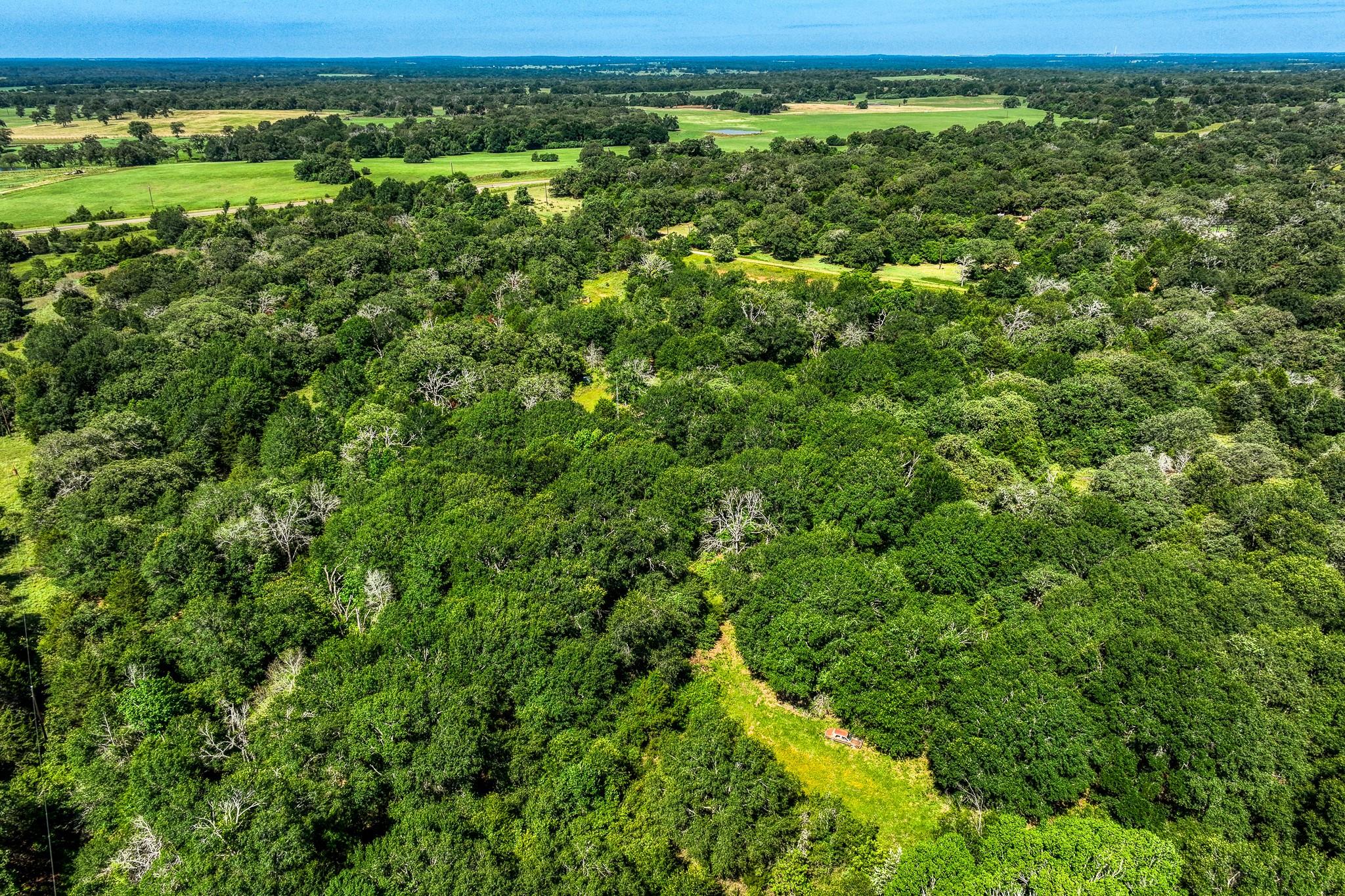 9808 FM 908, Caldwell, TX 77836