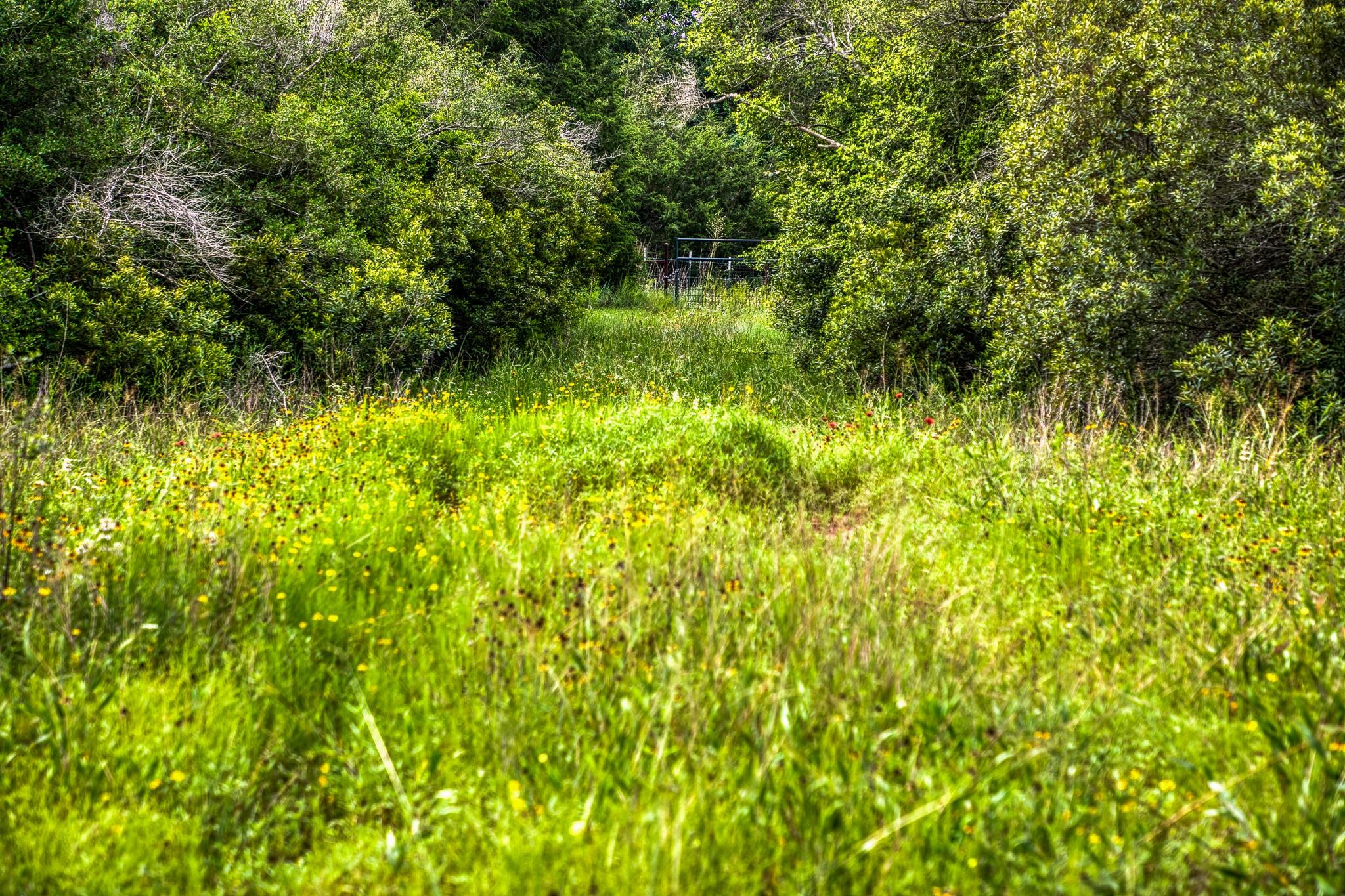 9808 FM 908, Caldwell, TX 77836