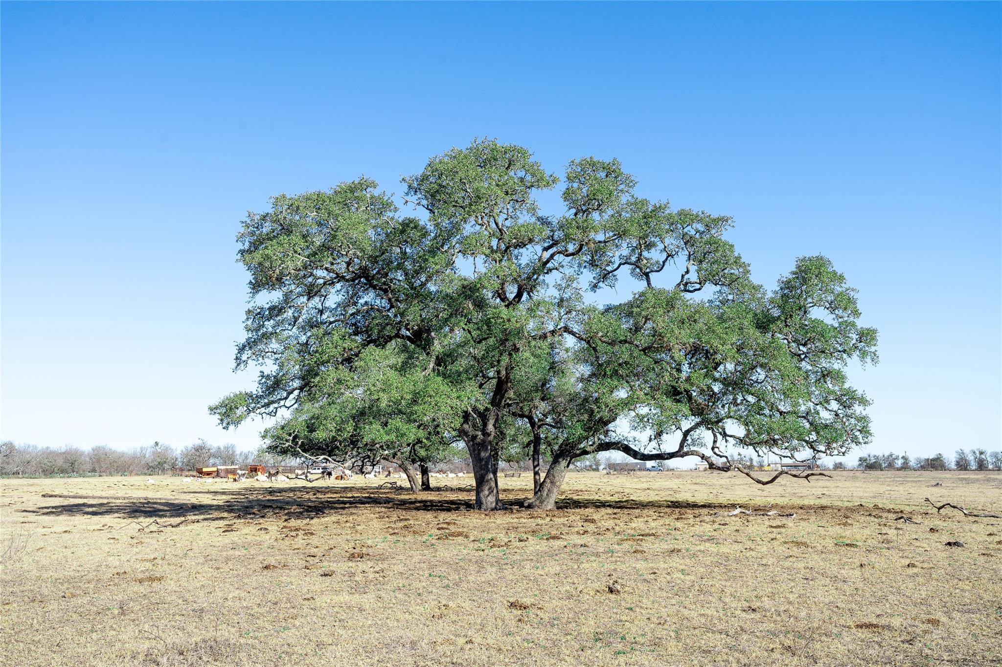 TBD Richards Dr, Del Valle, TX 78617