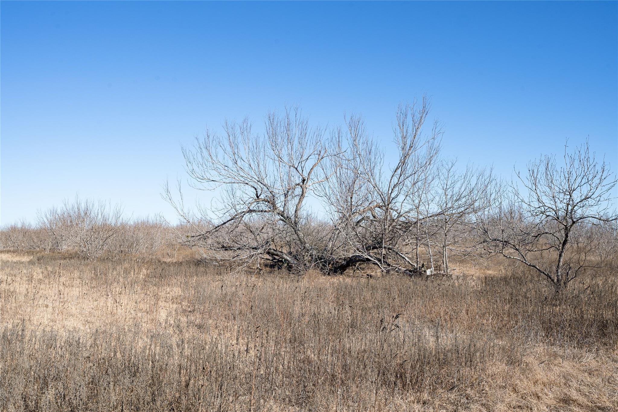 TBD Richards Dr, Del Valle, TX 78617