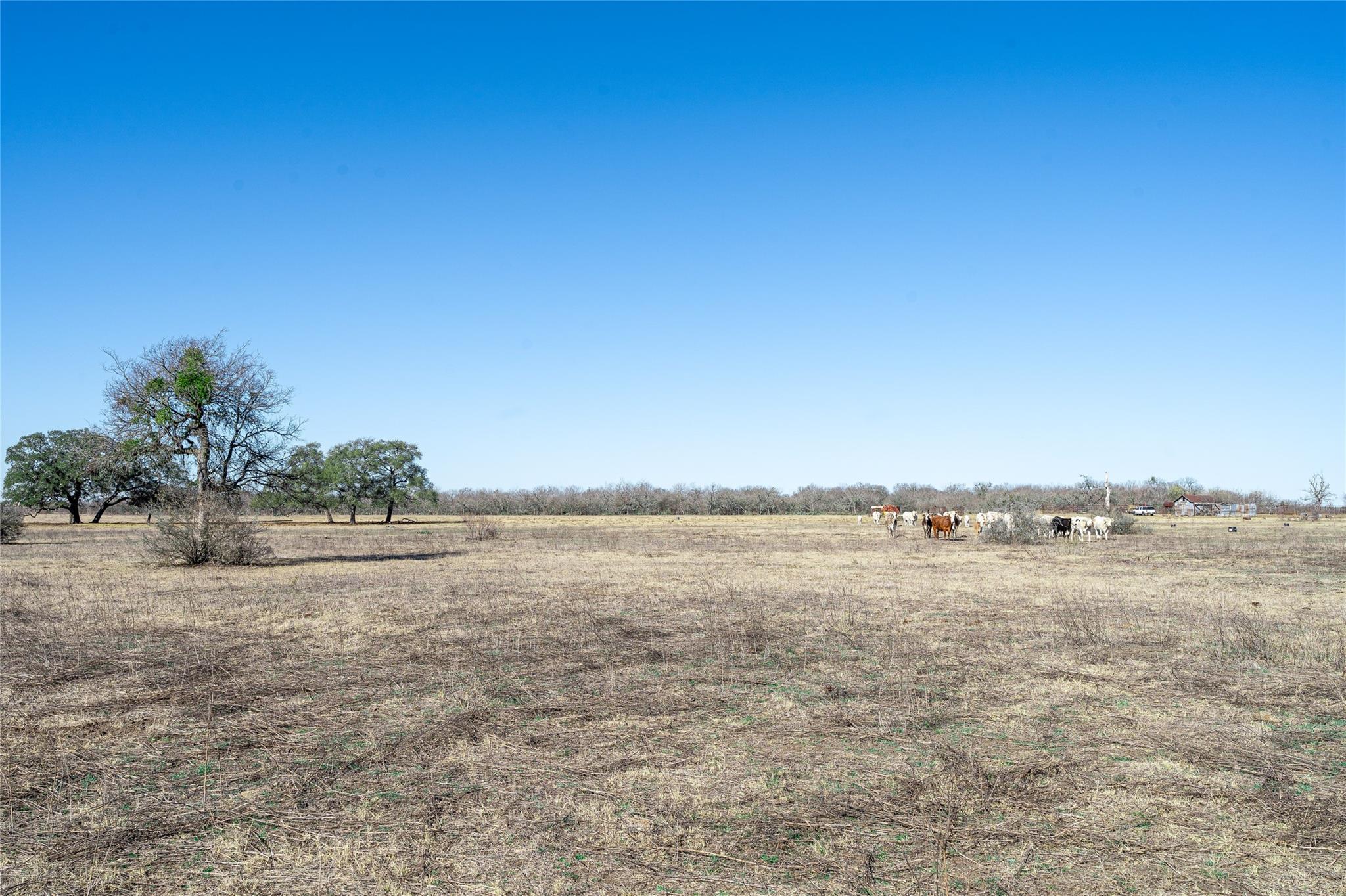 TBD Richards Dr, Del Valle, TX 78617