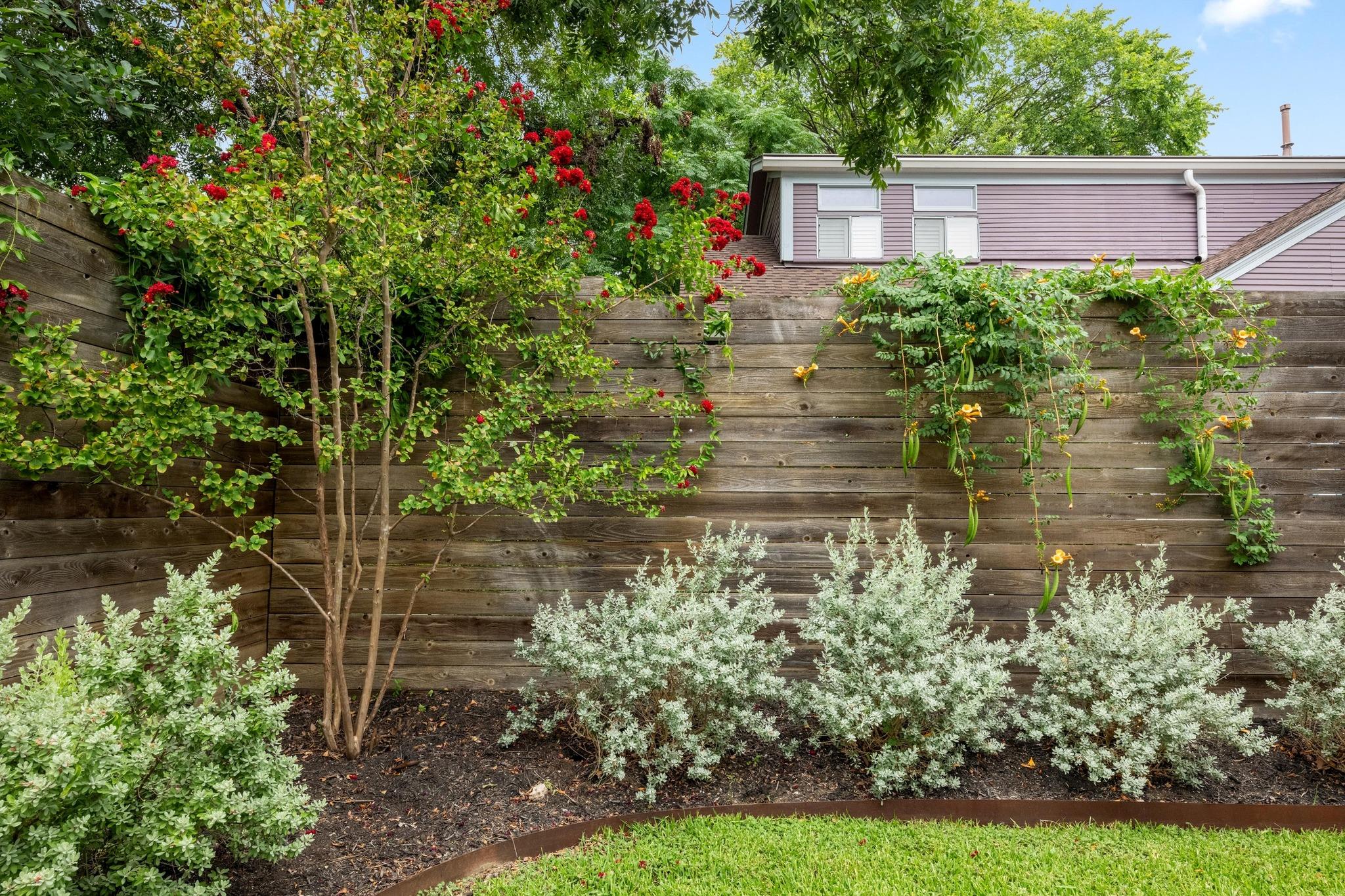 1605 Treadwell, Austin, TX 78704