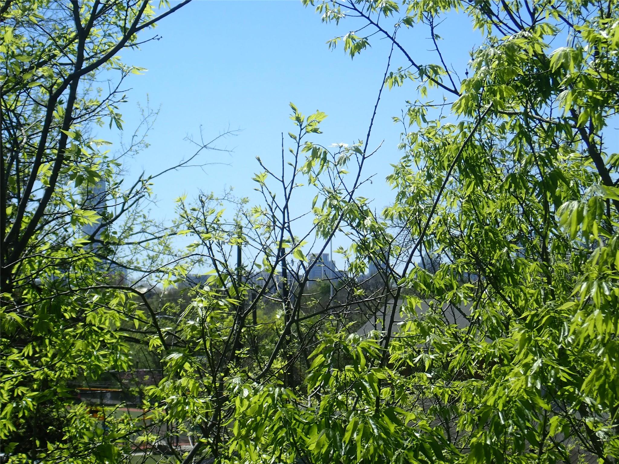 2912 E 14th St # A, Austin, TX 78702