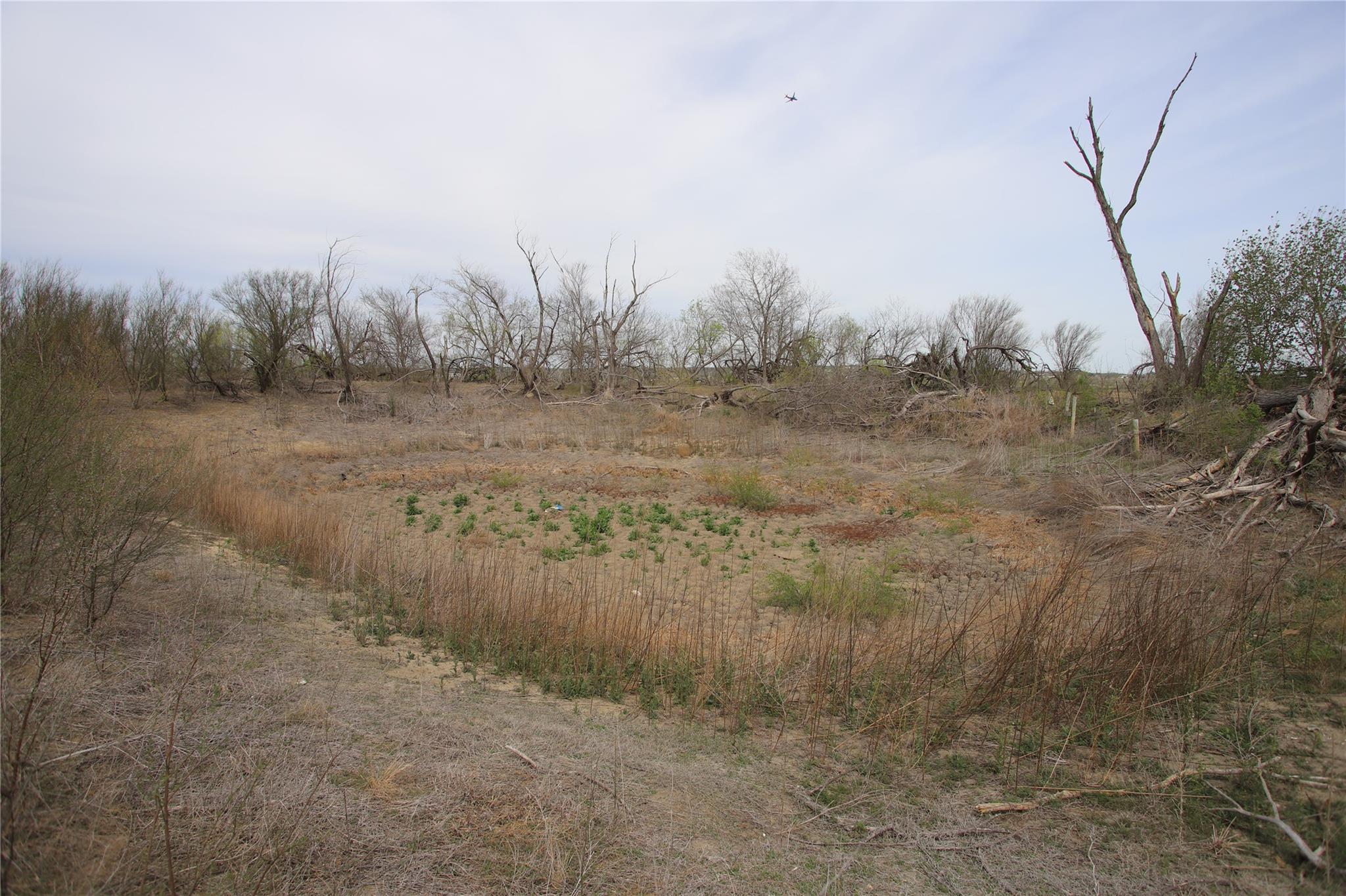 1205 Graef Rd # B, Kyle, TX 78640