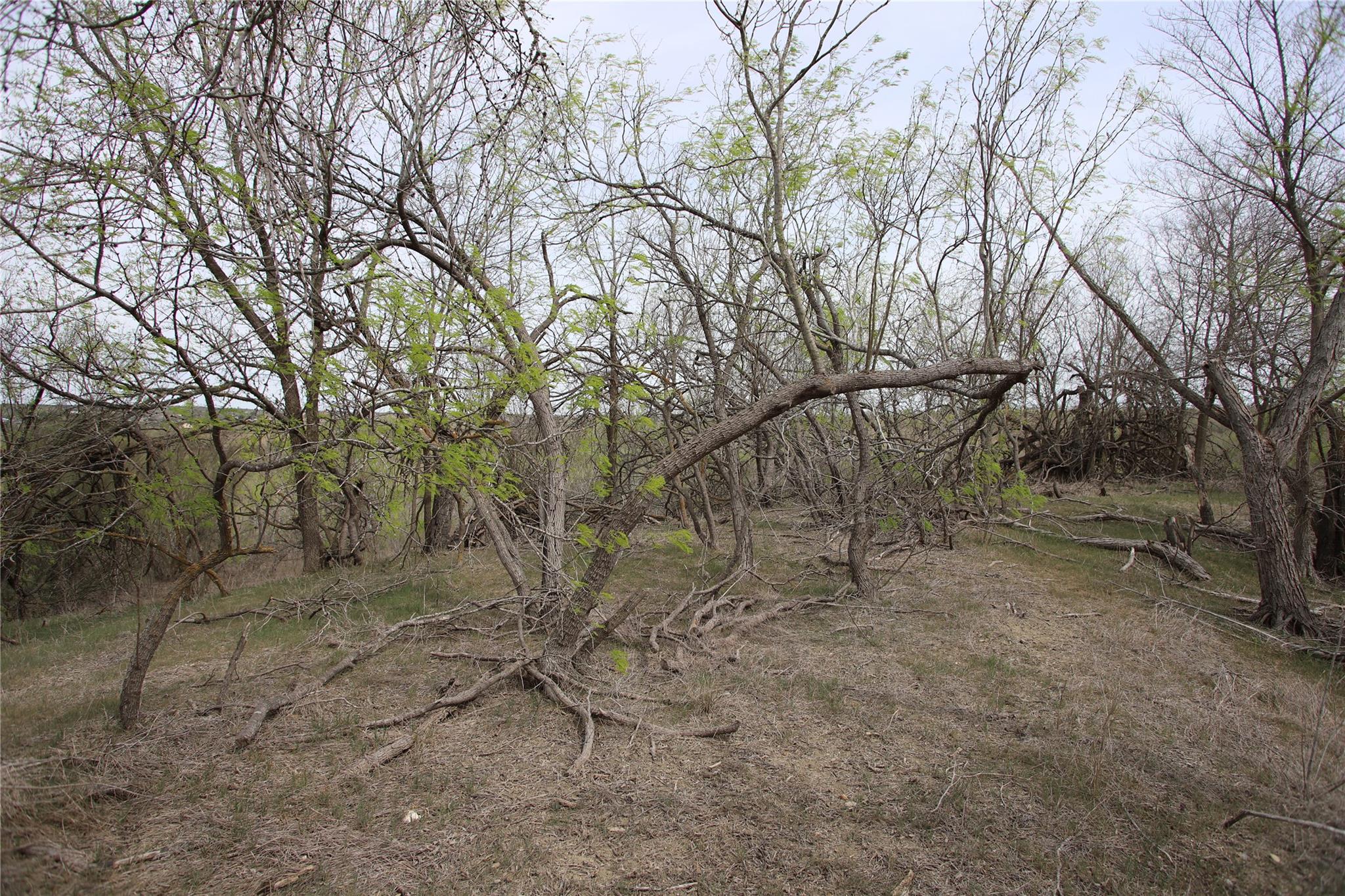 1205 Graef Rd # B, Kyle, TX 78640