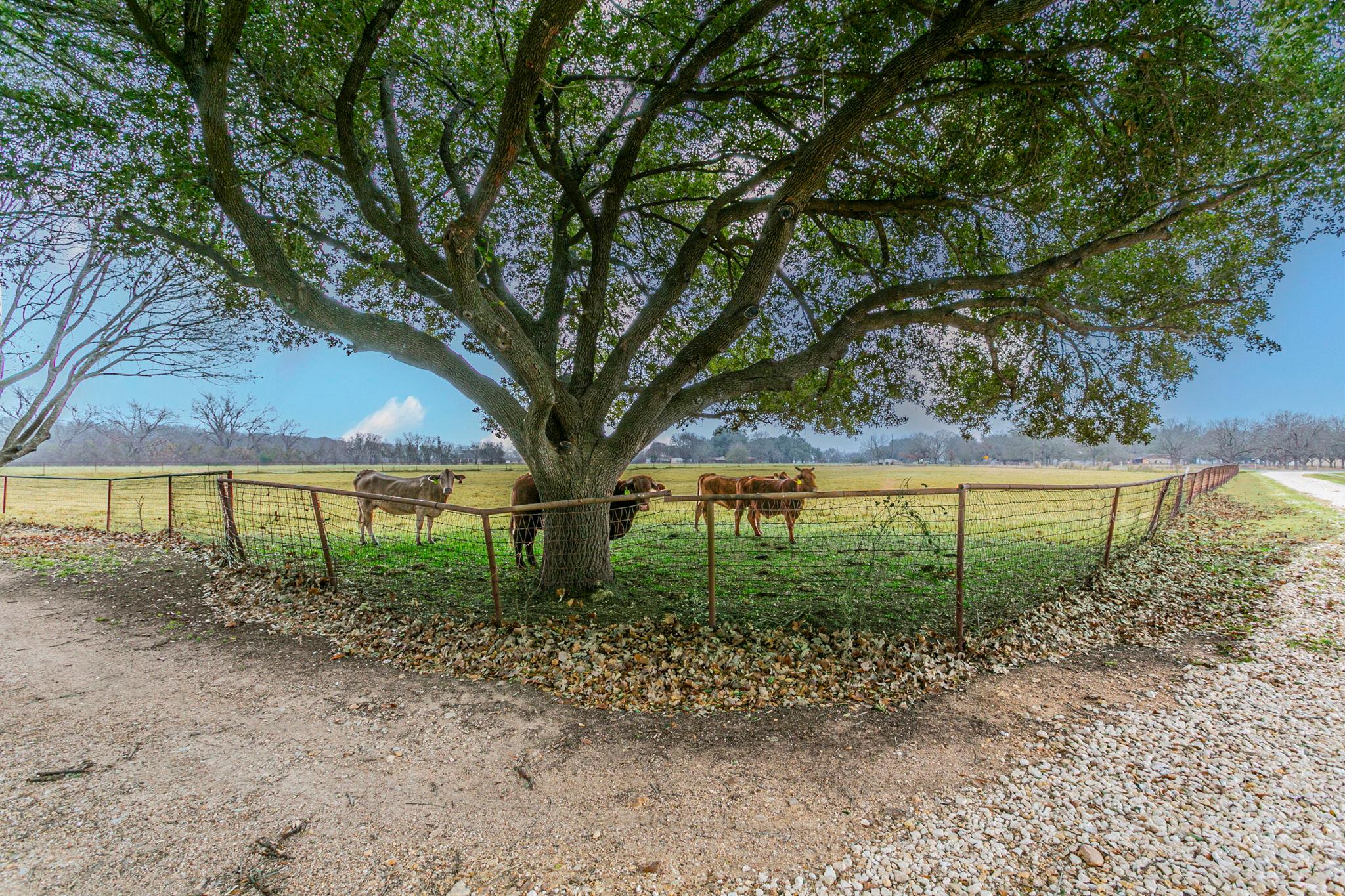 2792 Wilson Valley Rd, Little River Academy, TX 76554