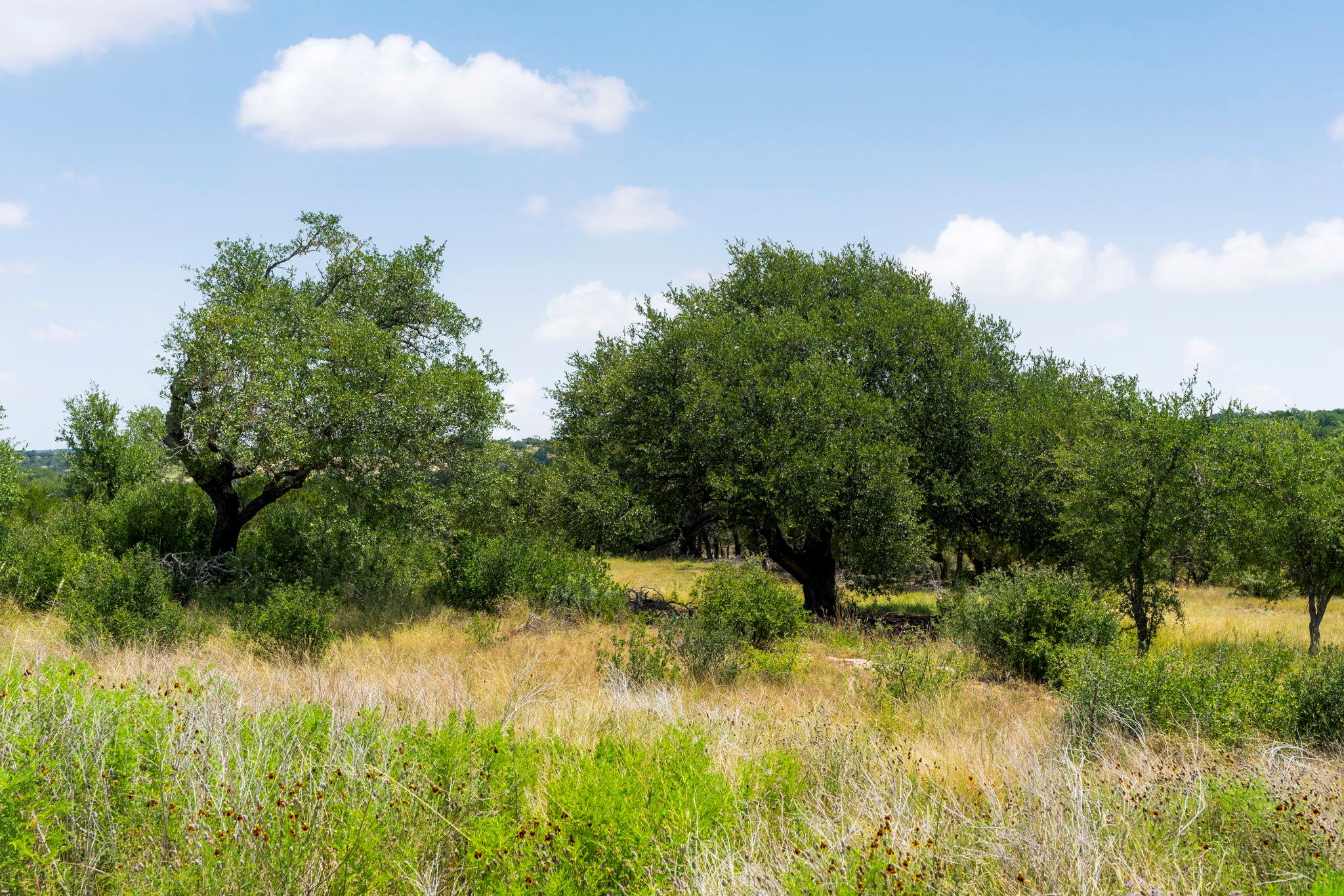 LOTS 24,31,32 Prancing Deer Ln, Johnson City, TX 78636