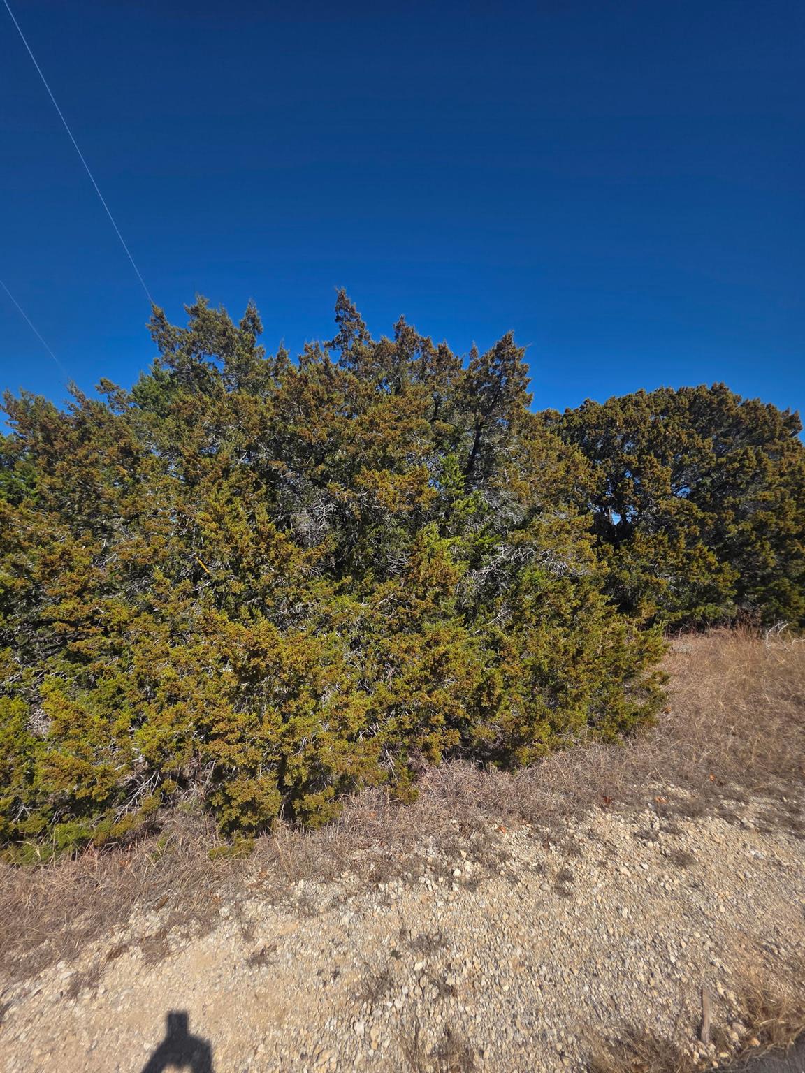 6909 Cedar Ridge Dr, Lago Vista, TX 78645