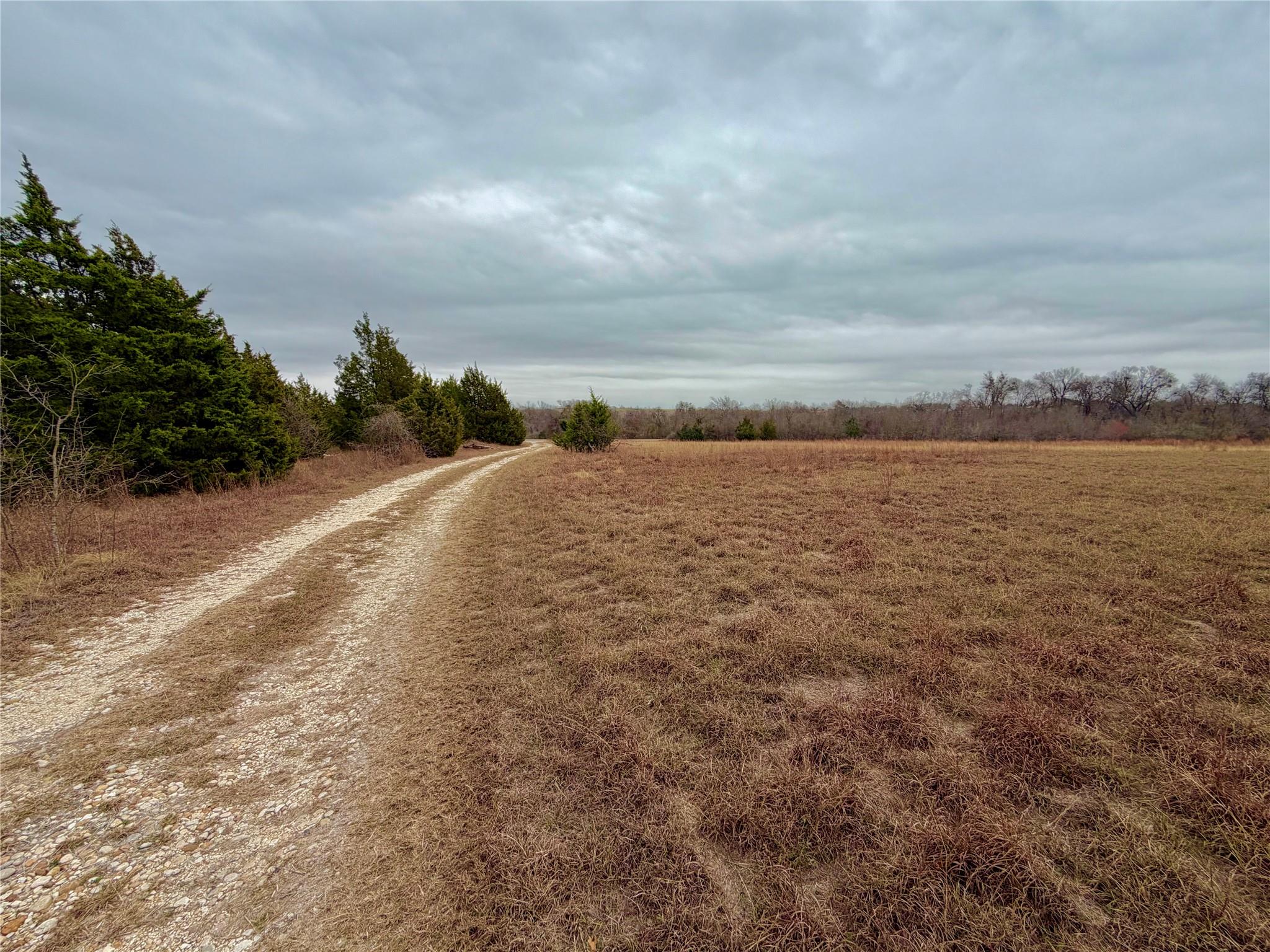 333 Spring Valley St, Hutto, TX 78634