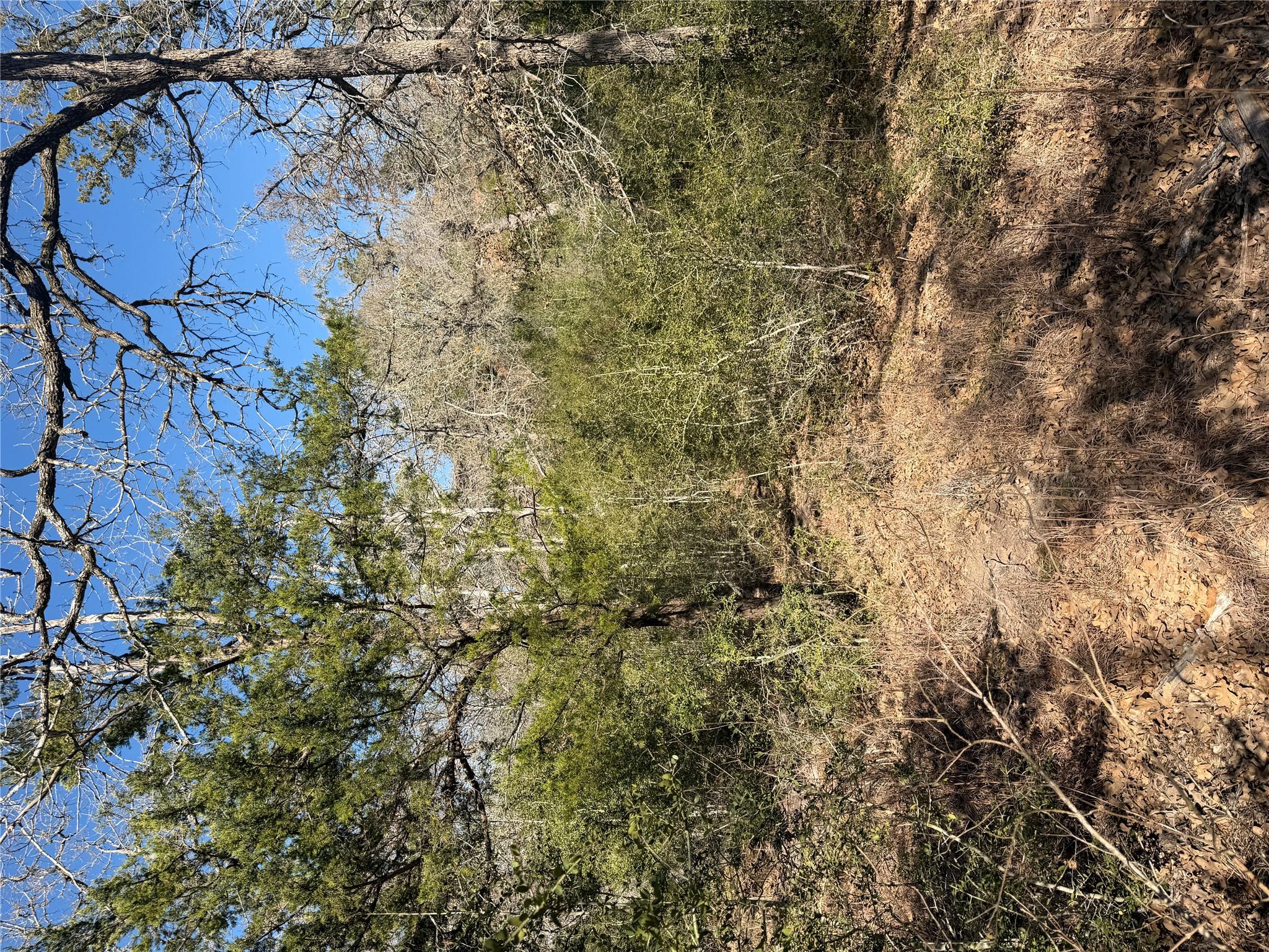 Lot 109 Wailupe Cir, Bastrop, TX 78602