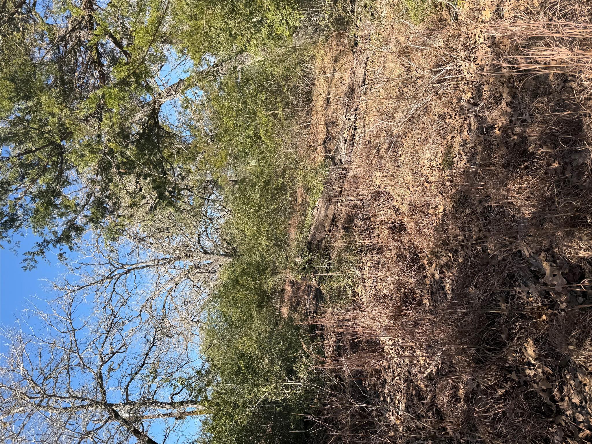 Lot 109 Wailupe Cir, Bastrop, TX 78602