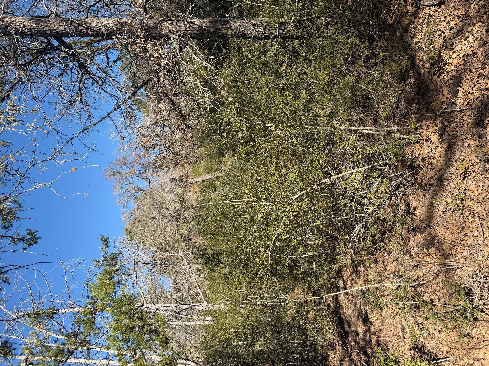 Lot 109 Wailupe Cir, Bastrop, TX 78602