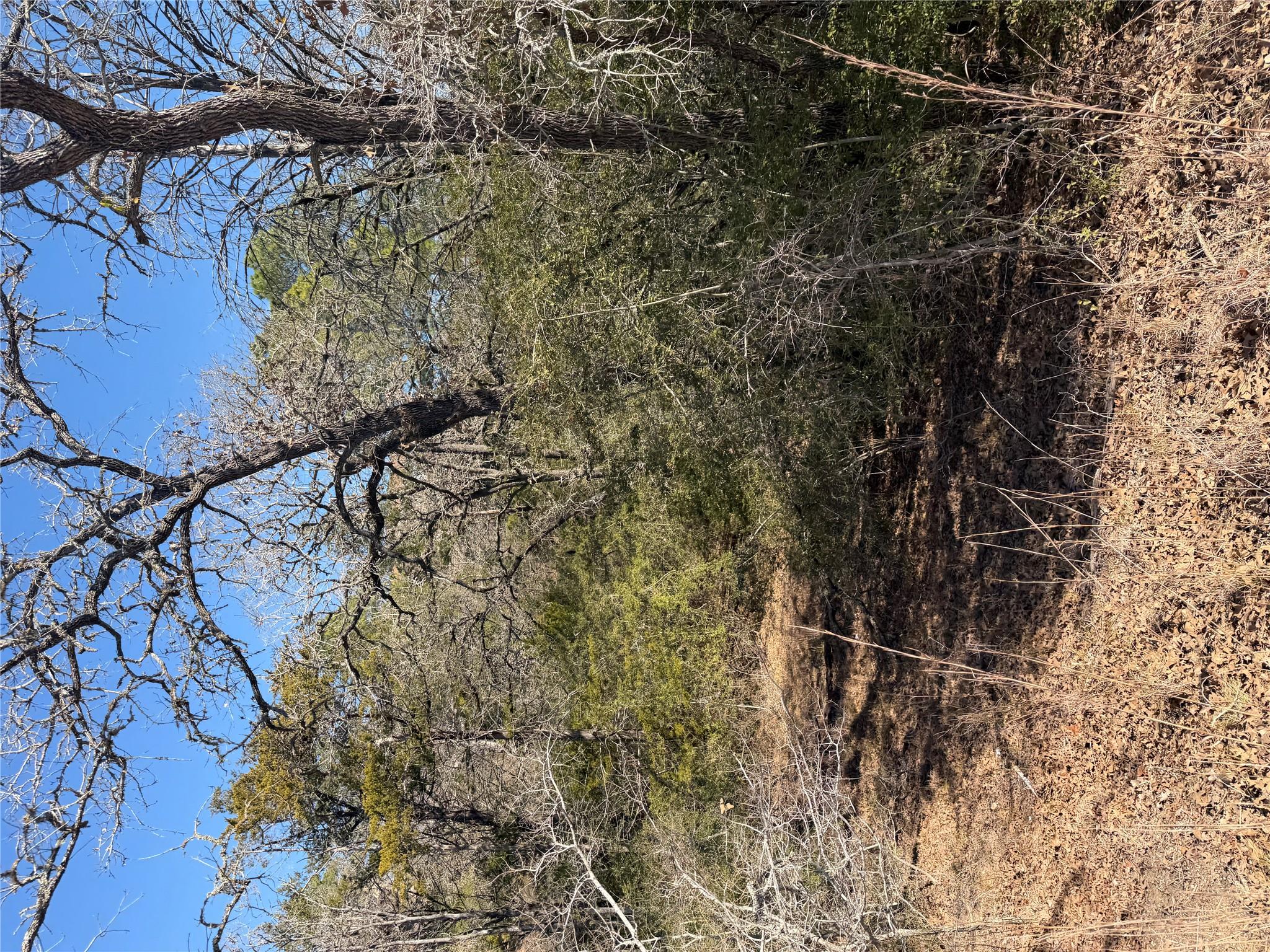 Lot 110 Wailupe Cir, Bastrop, TX 78602