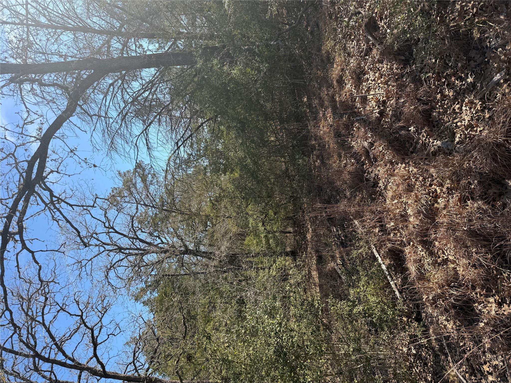 Lot 110 Wailupe Cir, Bastrop, TX 78602