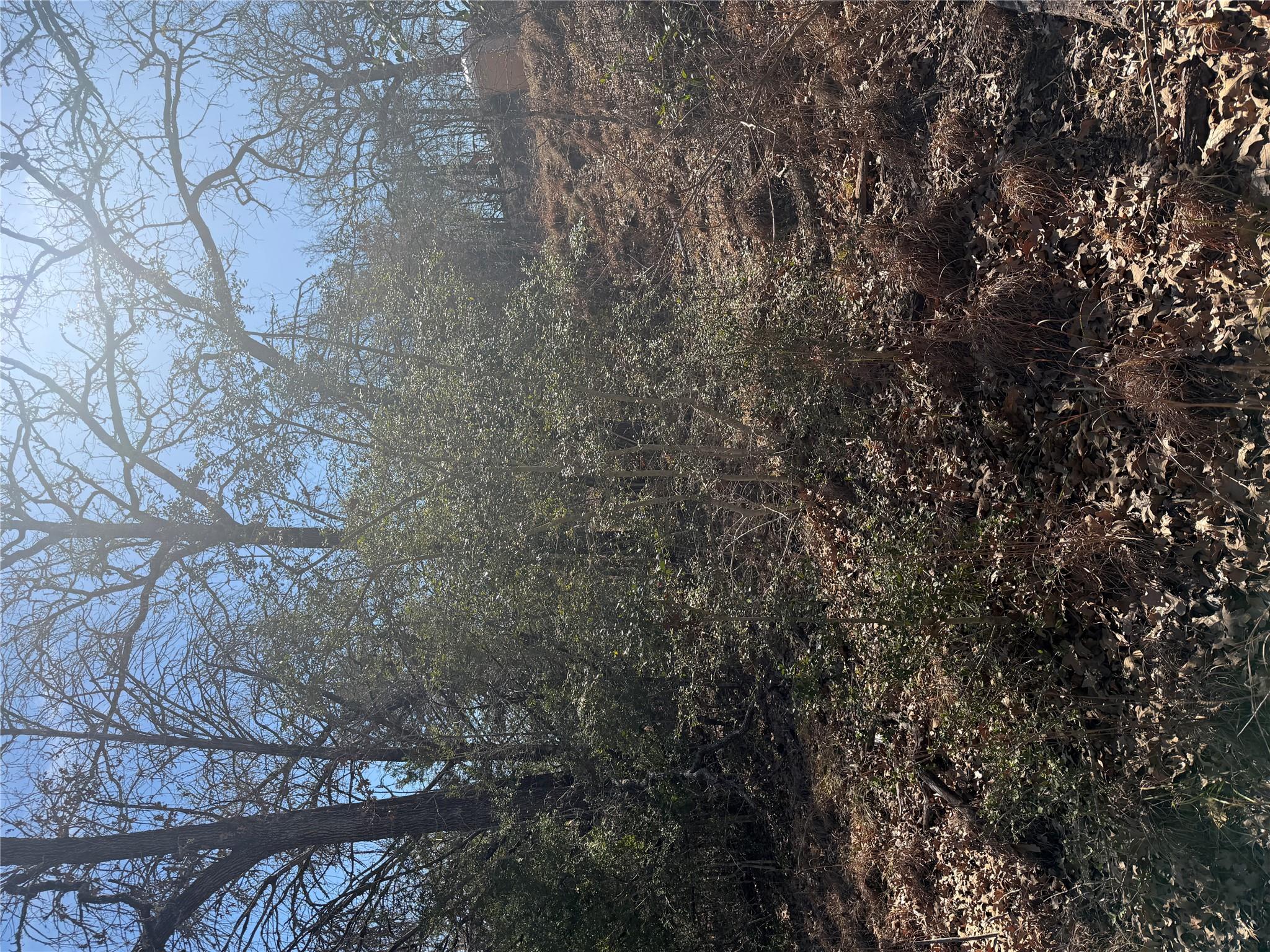 Lot 110 Wailupe Cir, Bastrop, TX 78602