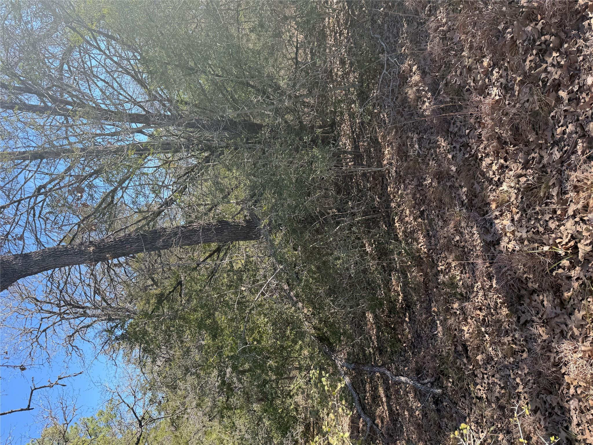 Lot 110 Wailupe Cir, Bastrop, TX 78602