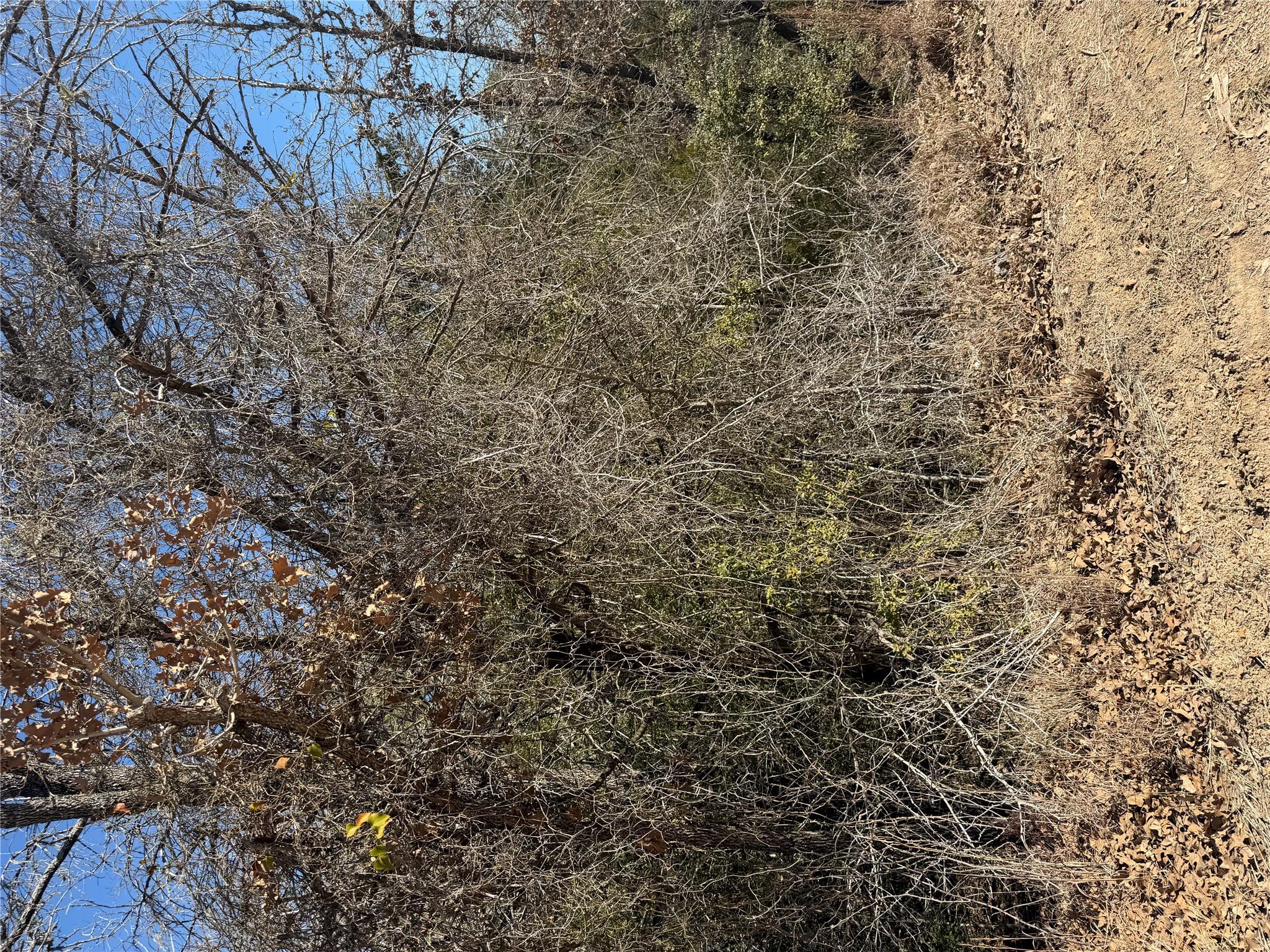 Lot 110 Wailupe Cir, Bastrop, TX 78602