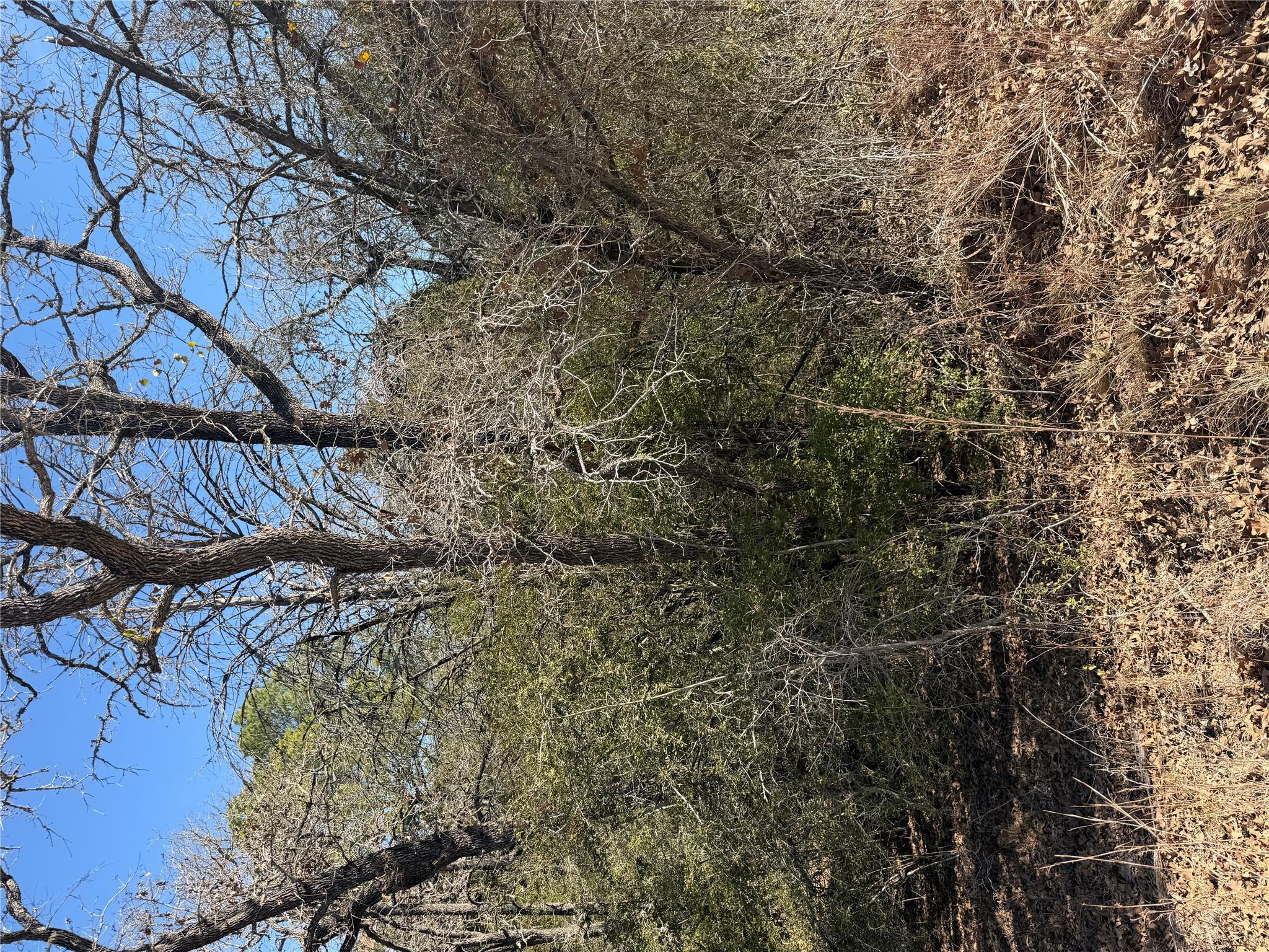 Lot 110 Wailupe Cir, Bastrop, TX 78602