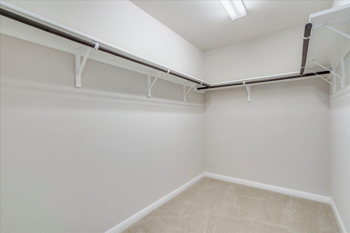 161 Mistflower Ln, Kyle, TX 78640