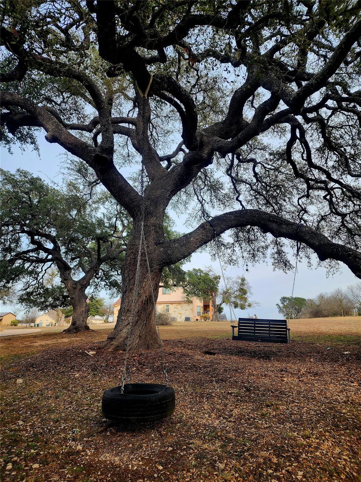 152 Silver Hawk Ct, Dripping Springs, TX 78620