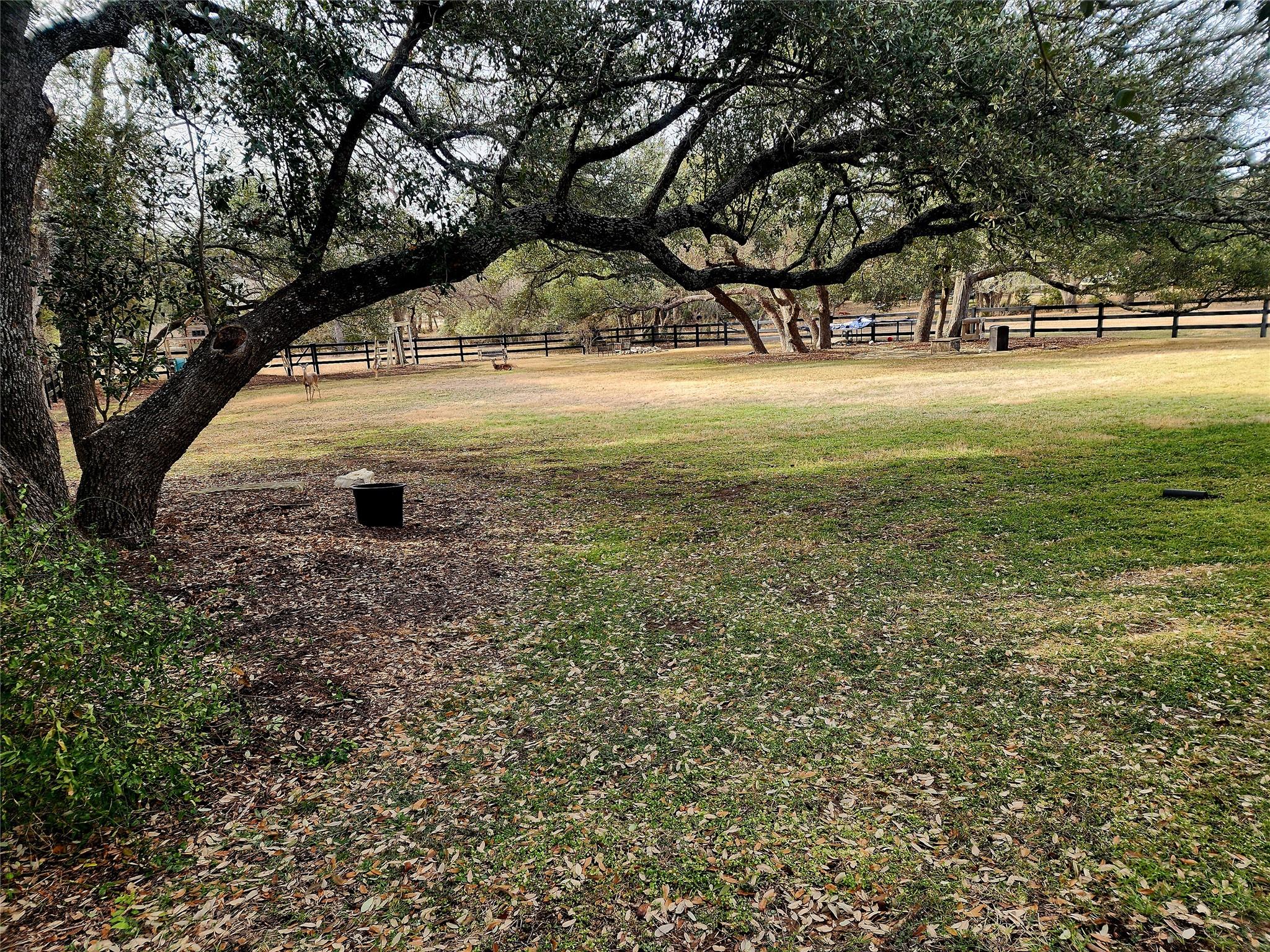 152 Silver Hawk Ct, Dripping Springs, TX 78620