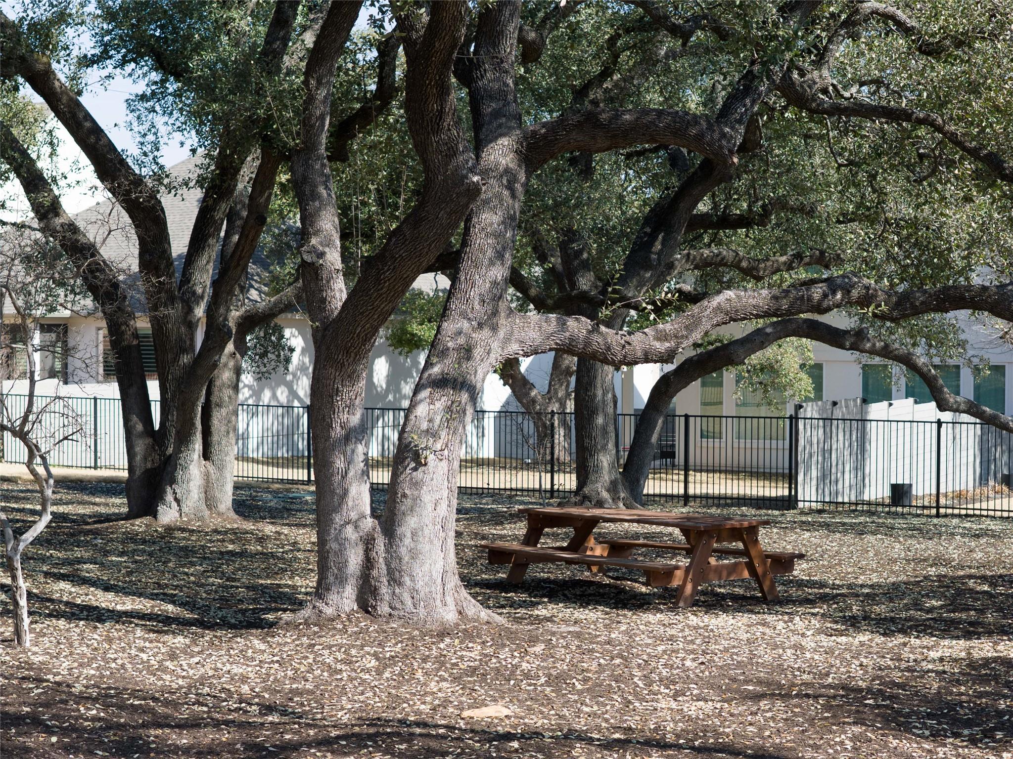 225 Diamondback Dr, Georgetown, TX 78628