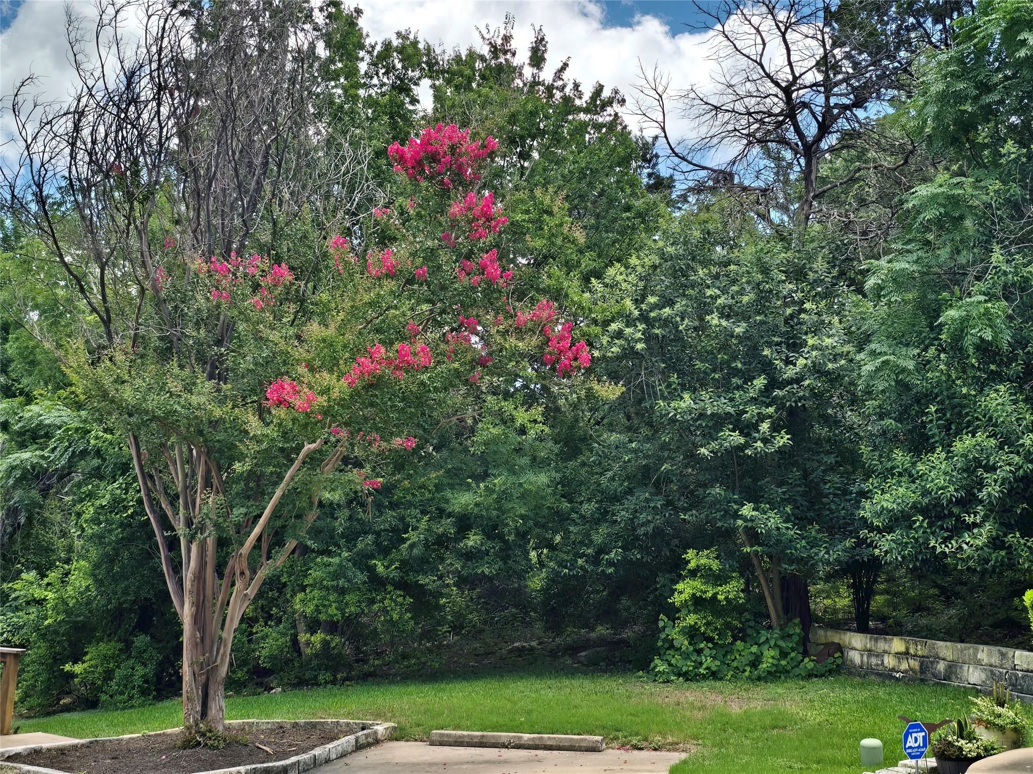 10703 Misting Falls Trl # D, Austin, TX 78759