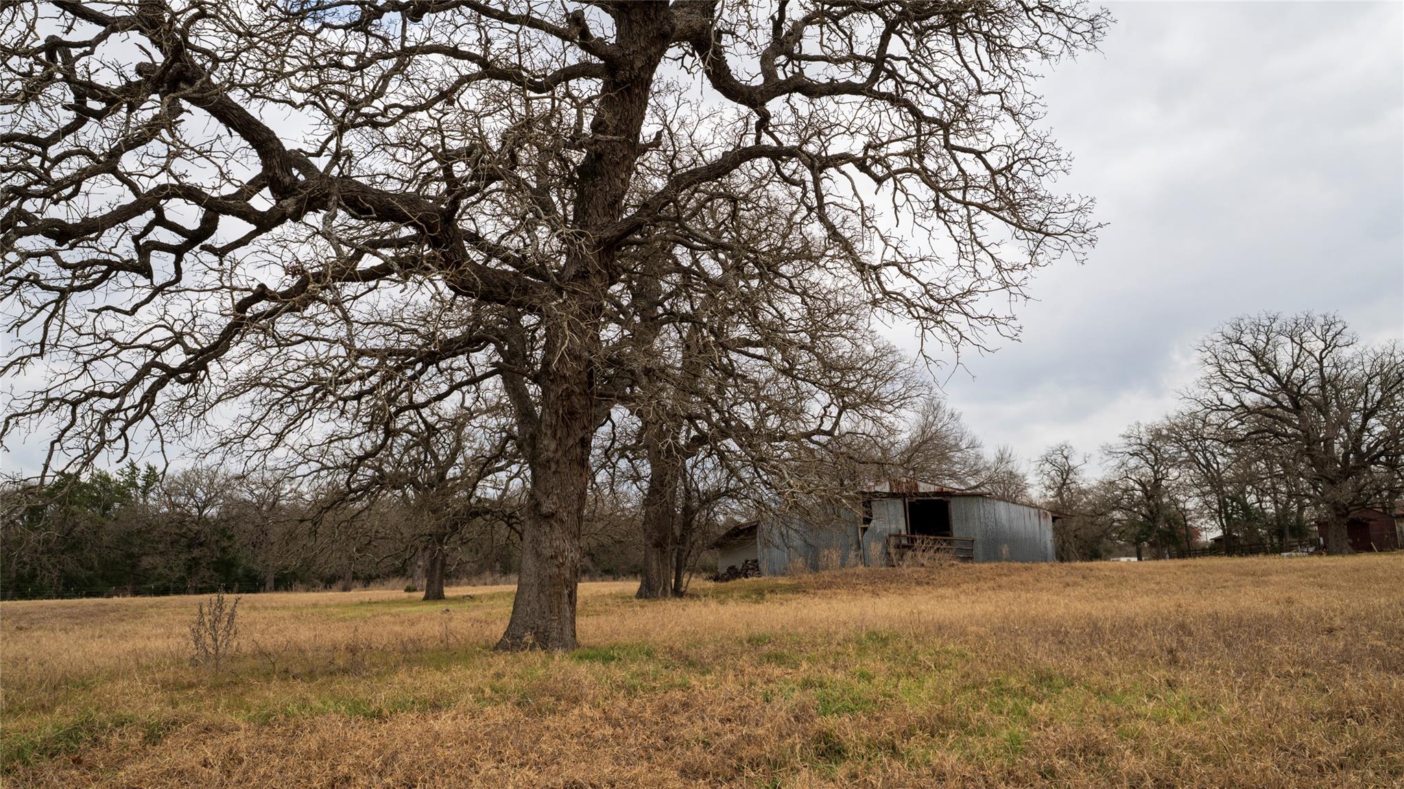 1682 W Us Highway 79, Rockdale, TX 76567