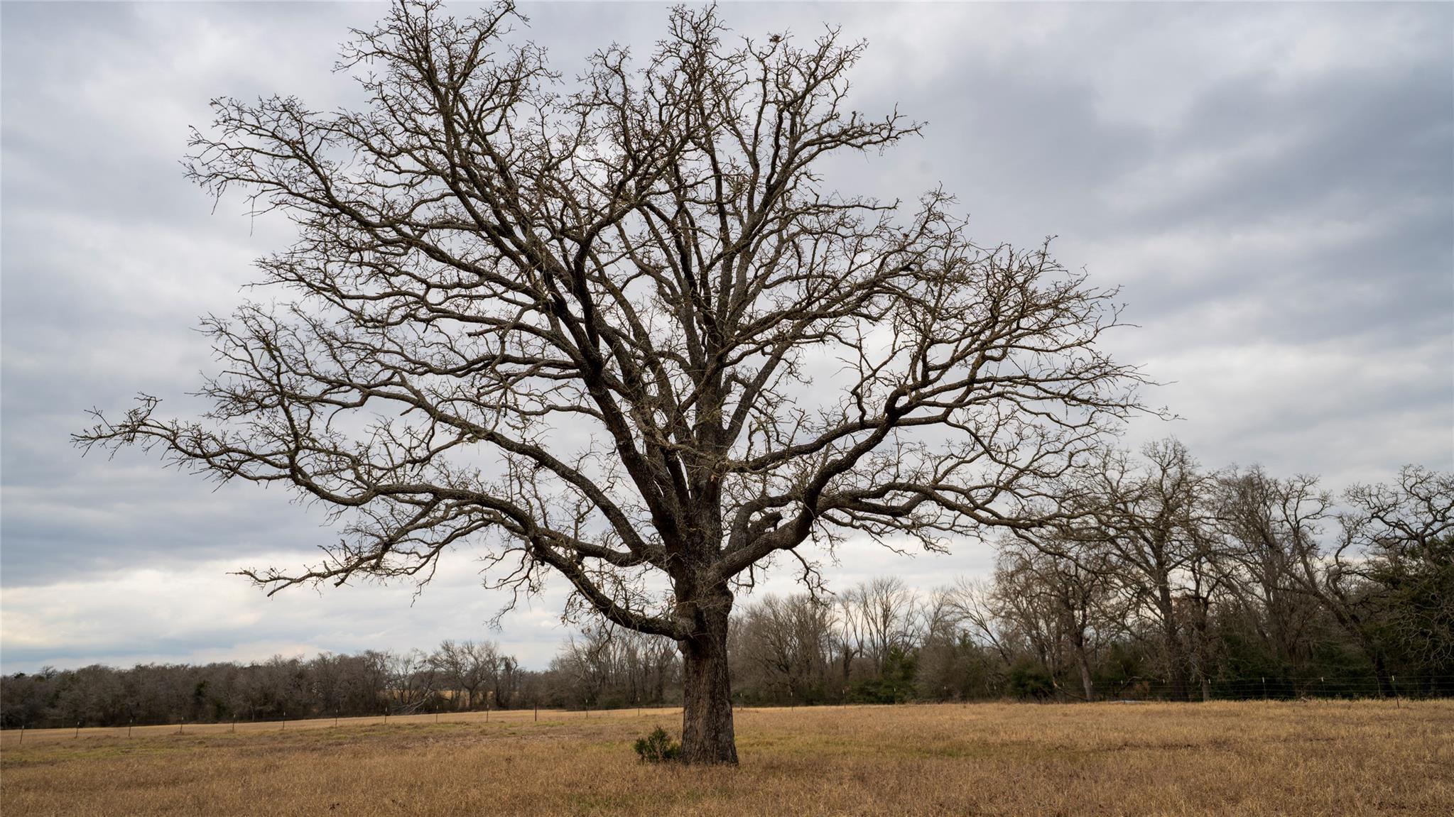 1682 W Us Highway 79, Rockdale, TX 76567