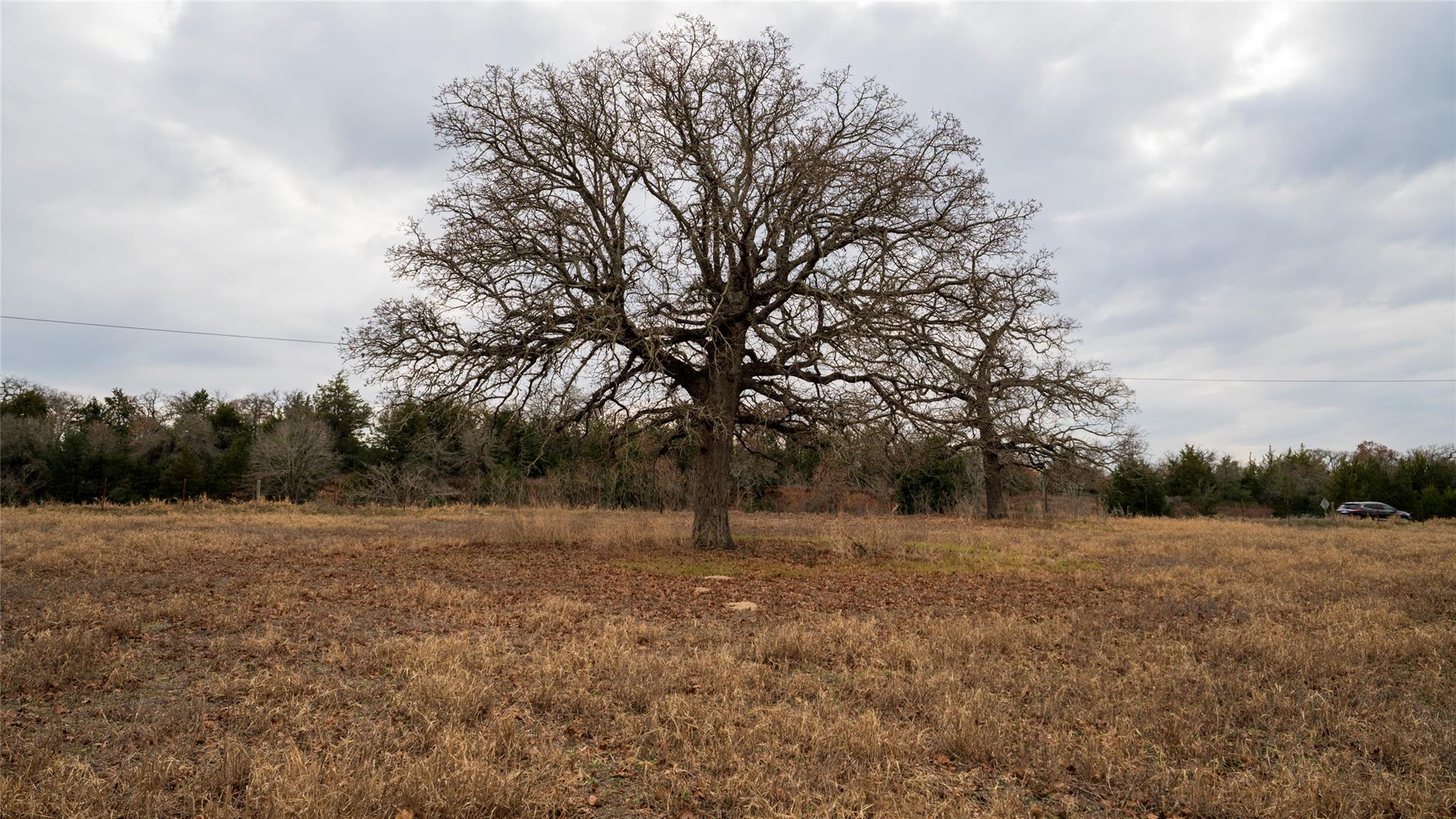 1682 W Us Highway 79, Rockdale, TX 76567