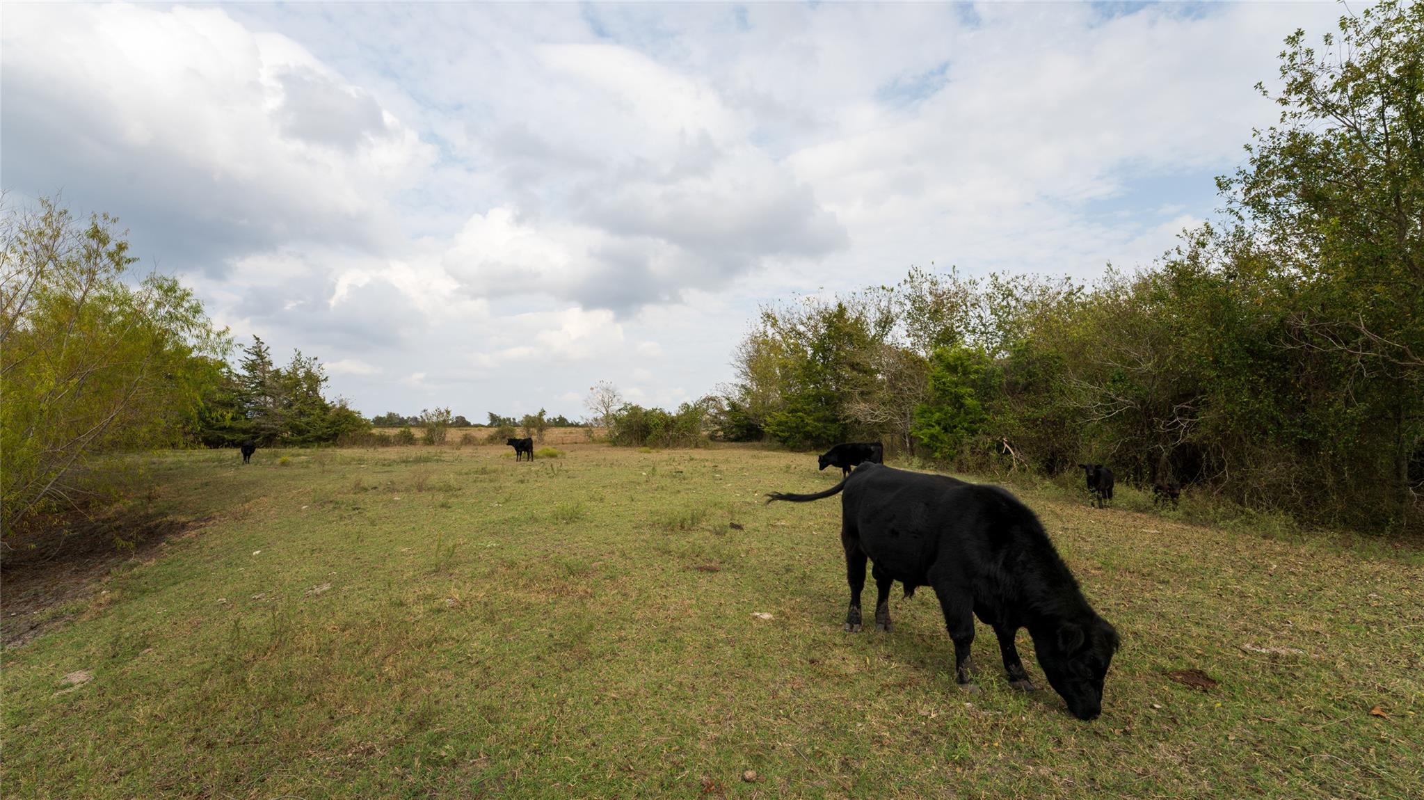 4646 Fm 2679 Rd, Burton, TX 77835