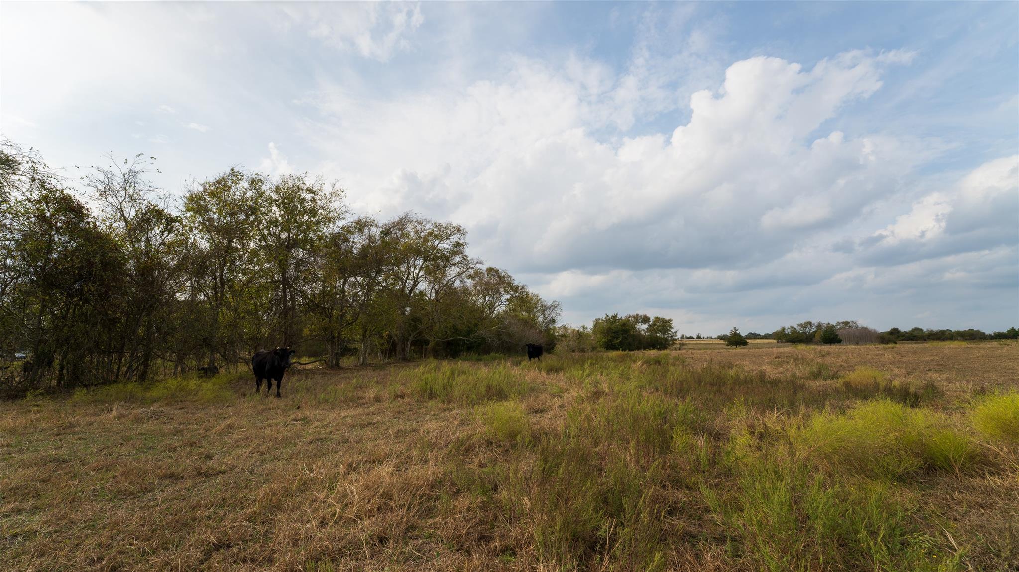 4646 Fm 2679 Rd, Burton, TX 77835