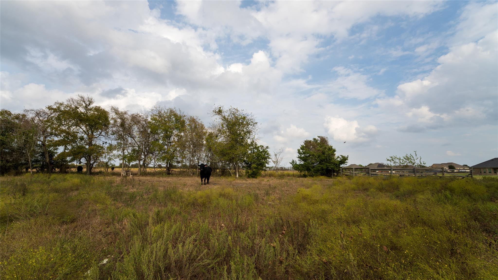 4646 Fm 2679 Rd, Burton, TX 77835